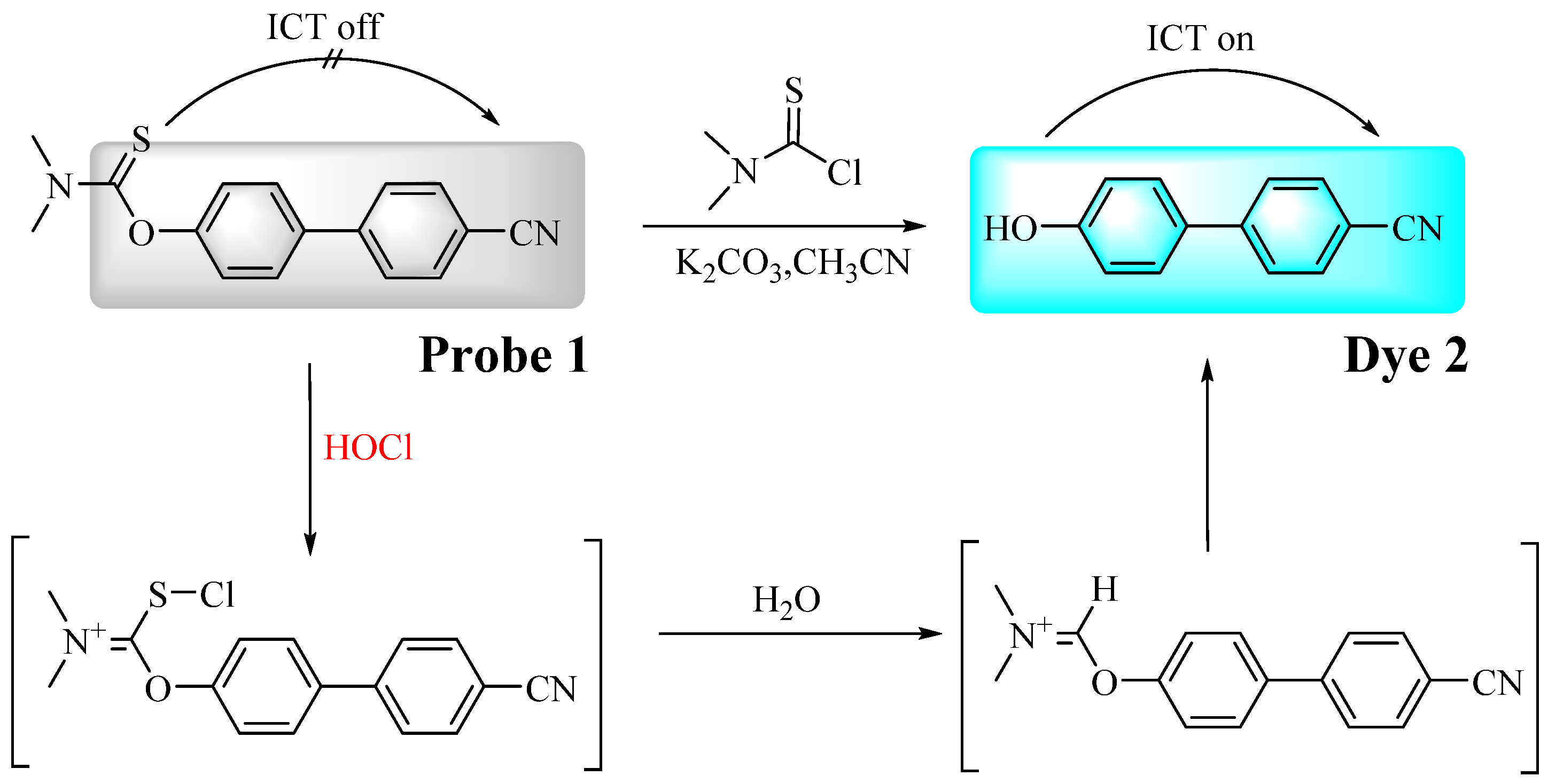 Biosensors 13 00744 sch001 Biosensors 13 00744 sch001