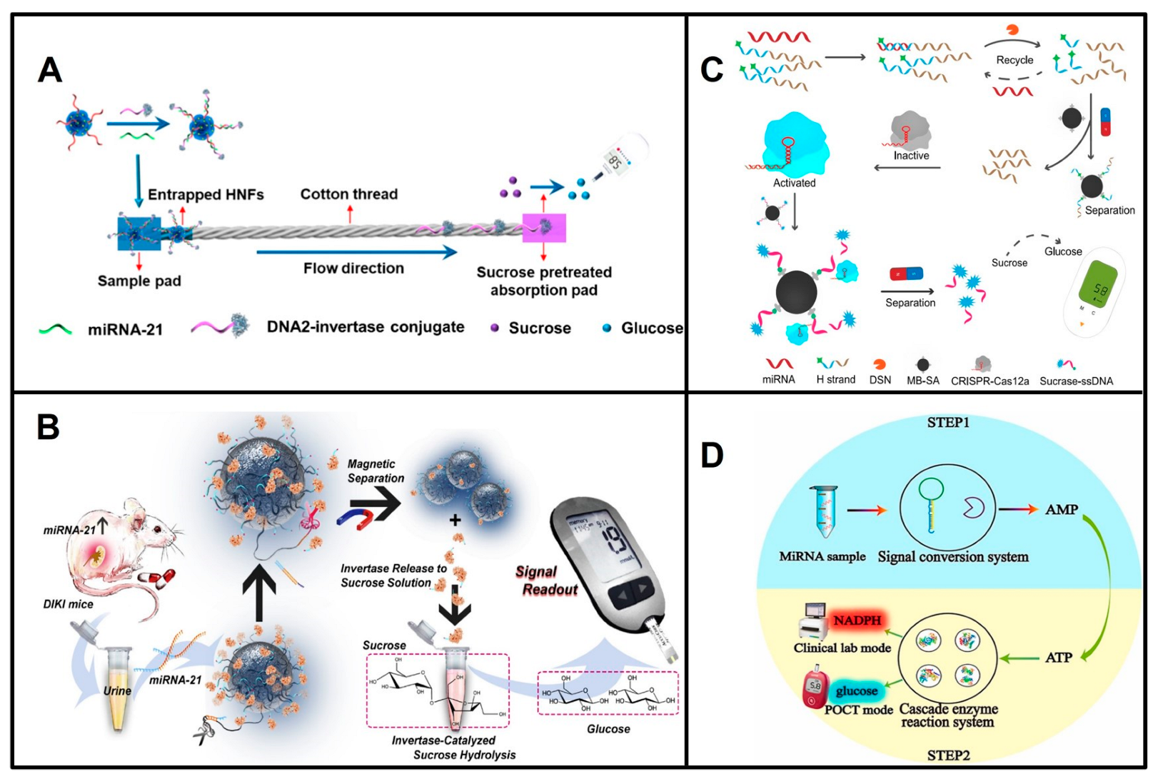 Biosensors 13 00747 g001 Biosensors 13 00747 g001