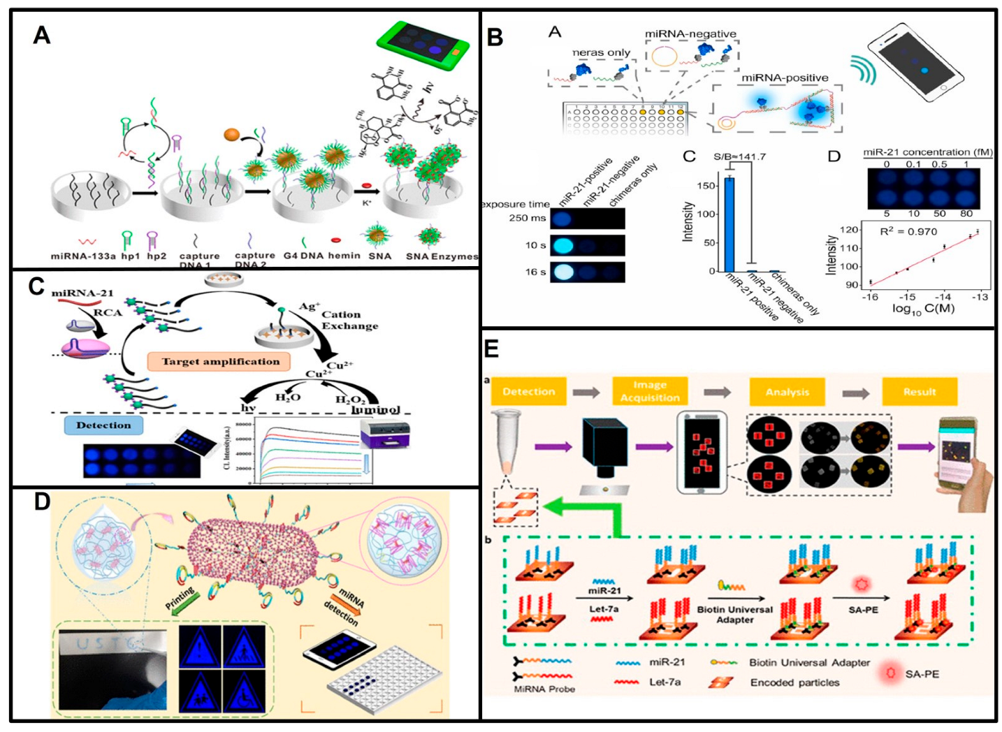 Biosensors 13 00747 g003 Biosensors 13 00747 g003