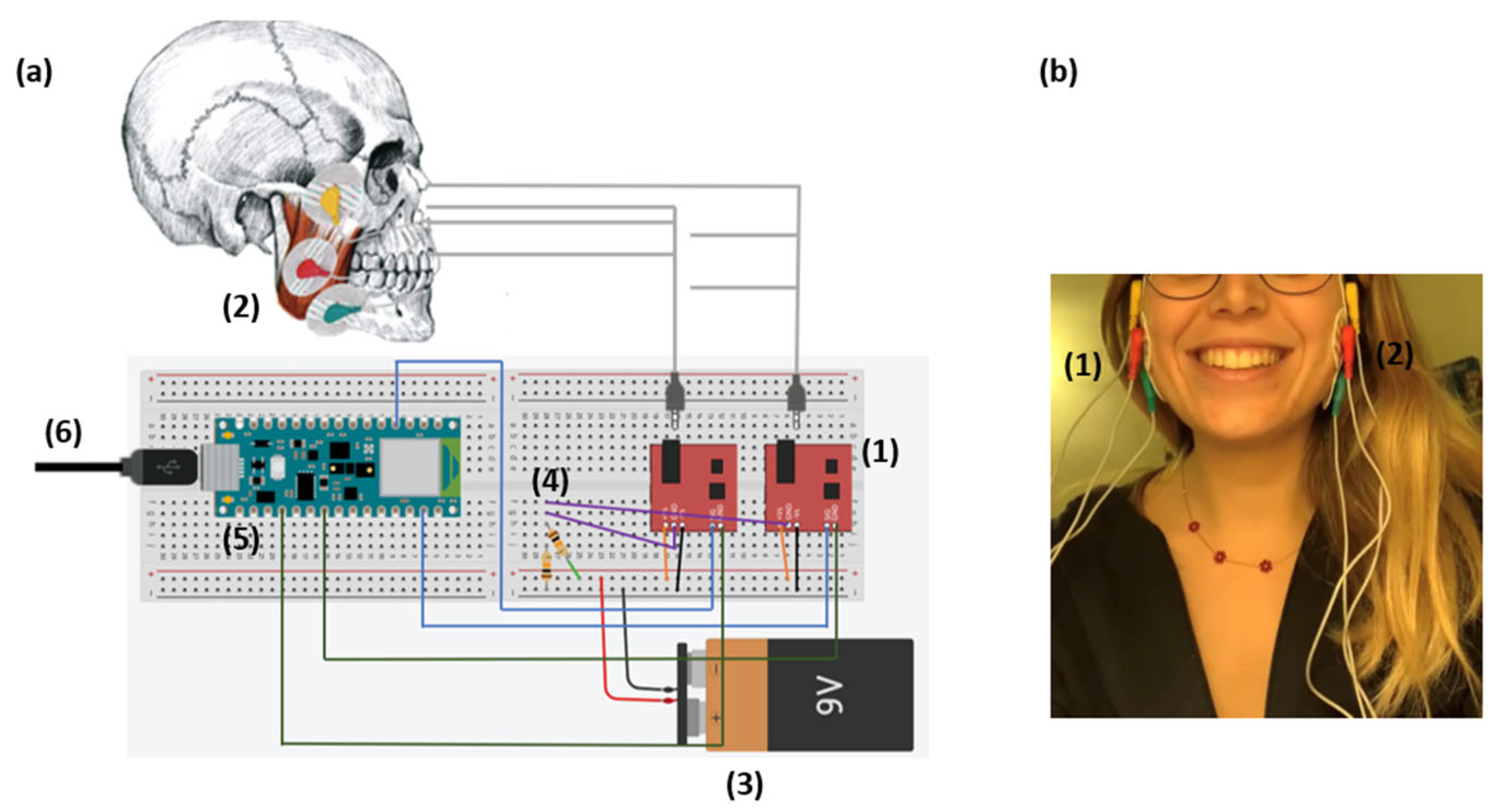 Biosensors 13 00749 g001 Biosensors 13 00749 g001