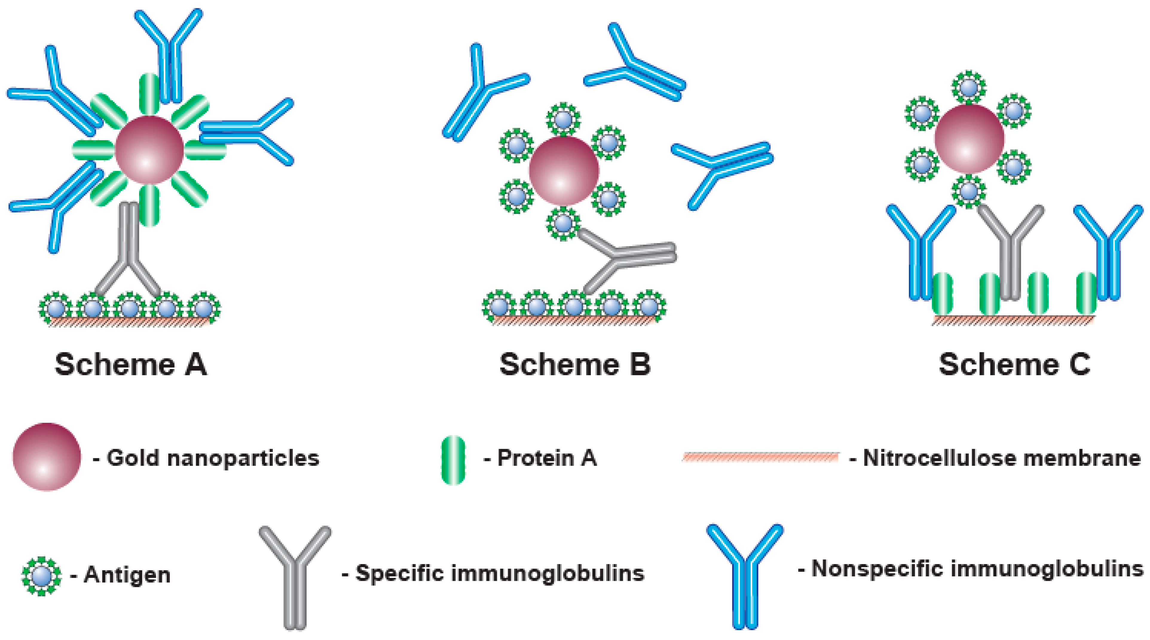 Biosensors 13 00750 g001