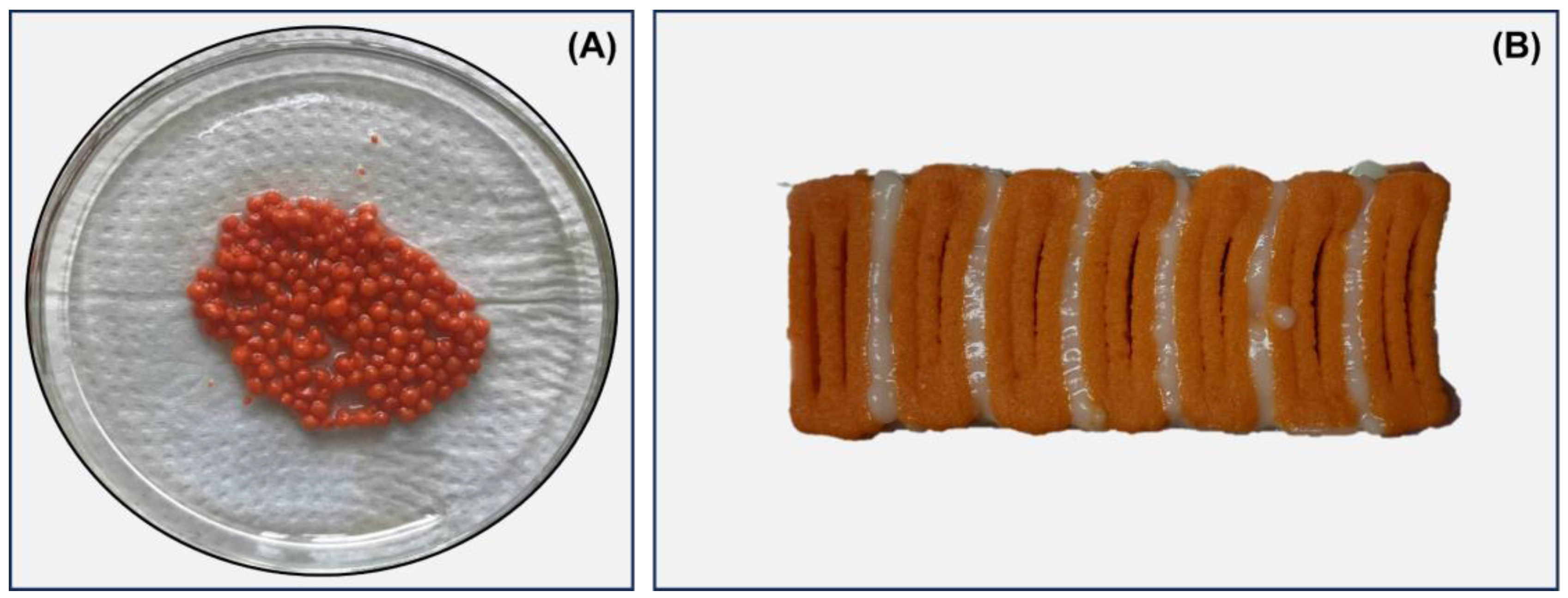 Biosensors 13 00751 g001