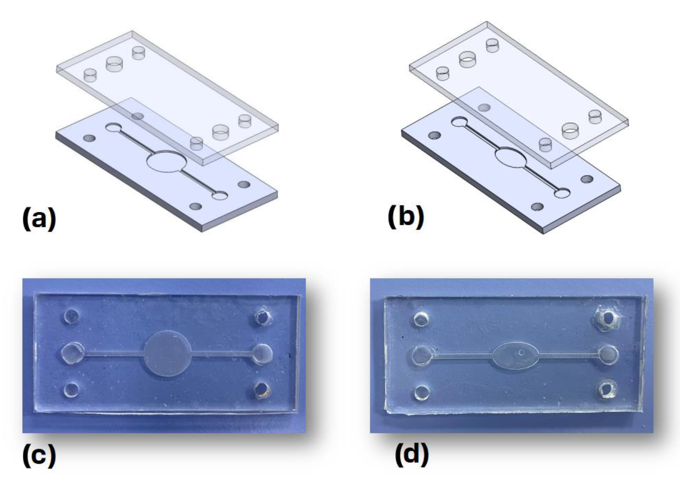 Biosensors 13 00754 g002