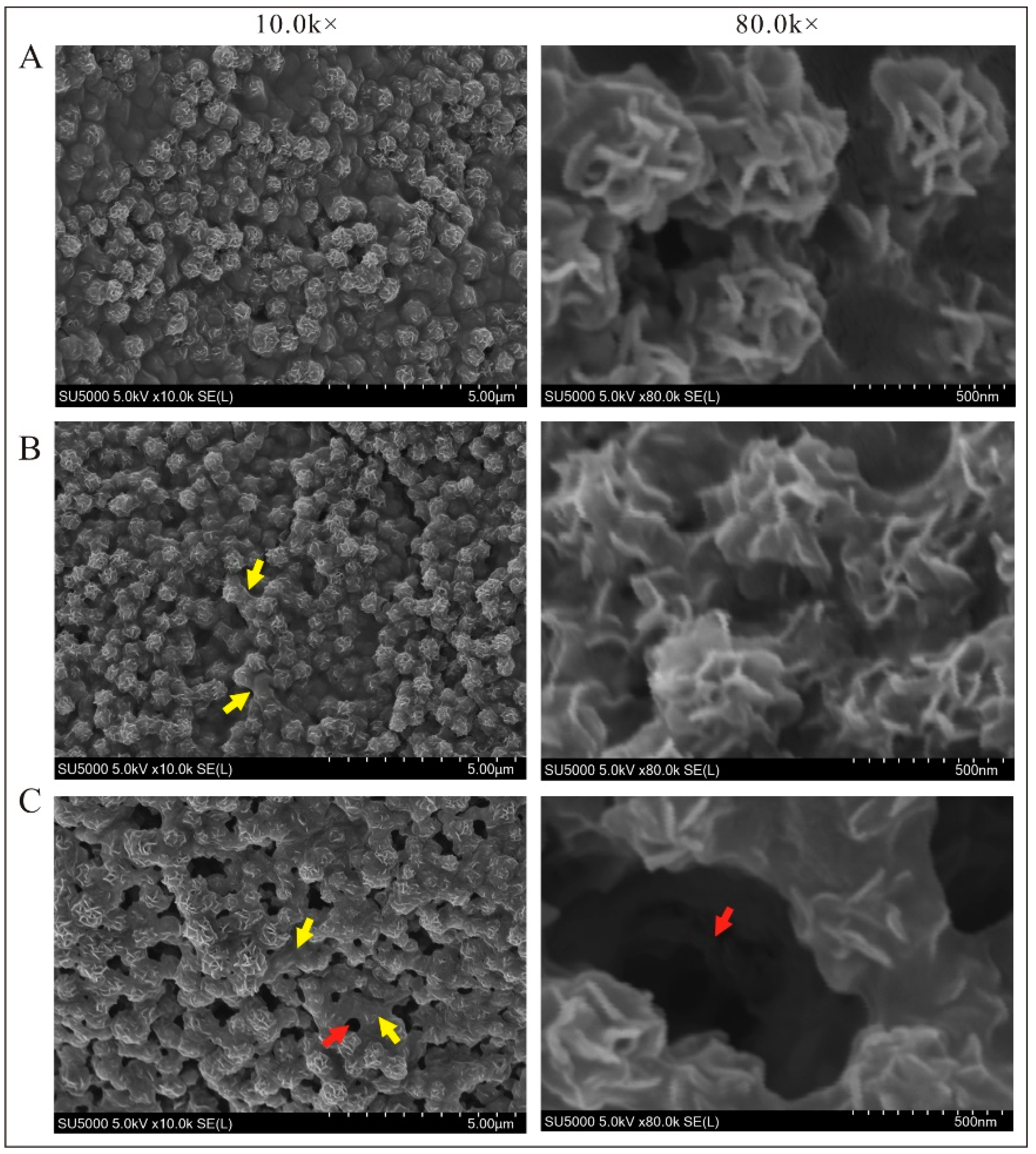 Biosensors 13 00755 g004 Biosensors 13 00755 g004
