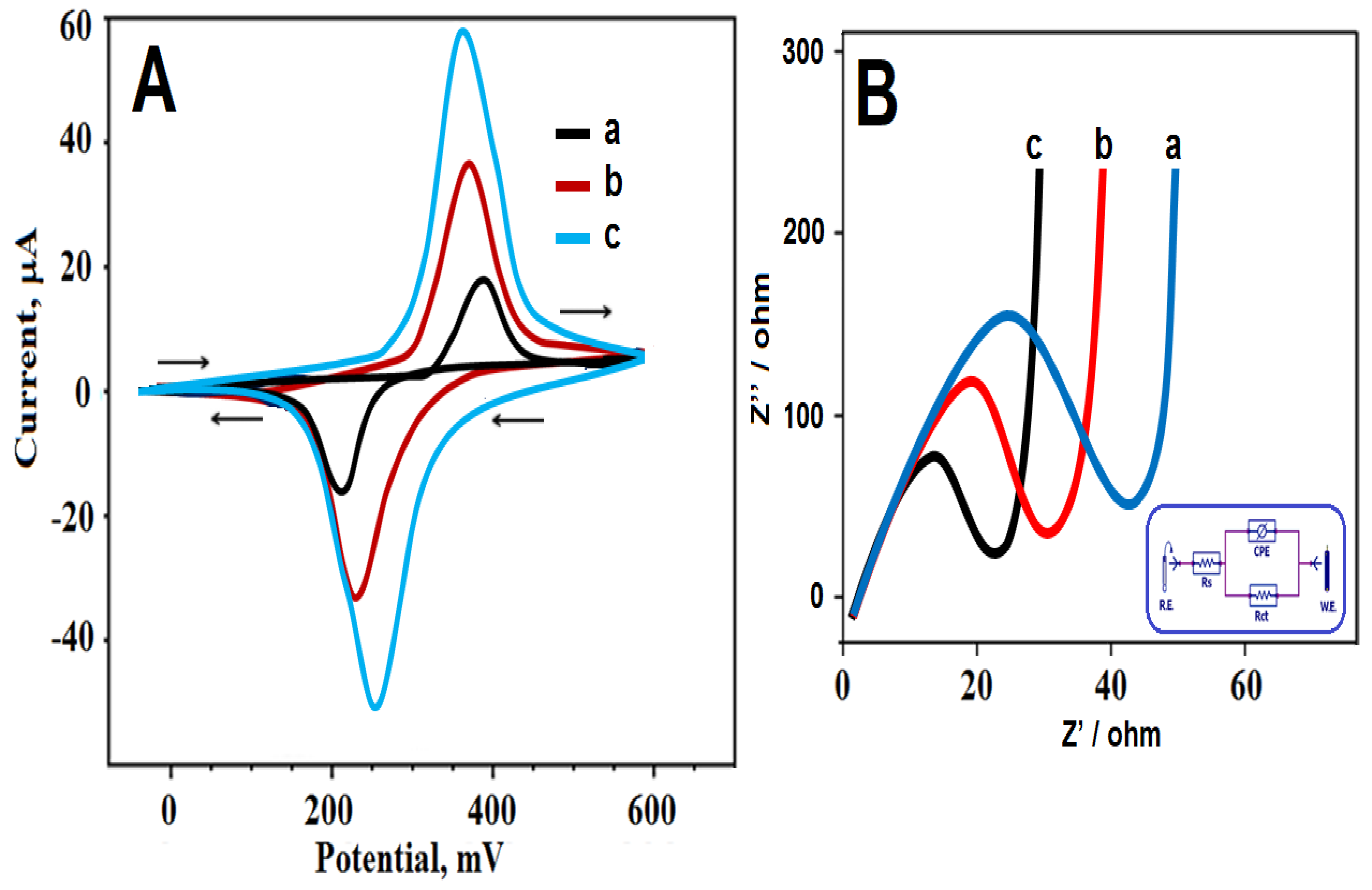 Biosensors 13 00760 g004 Biosensors 13 00760 g004