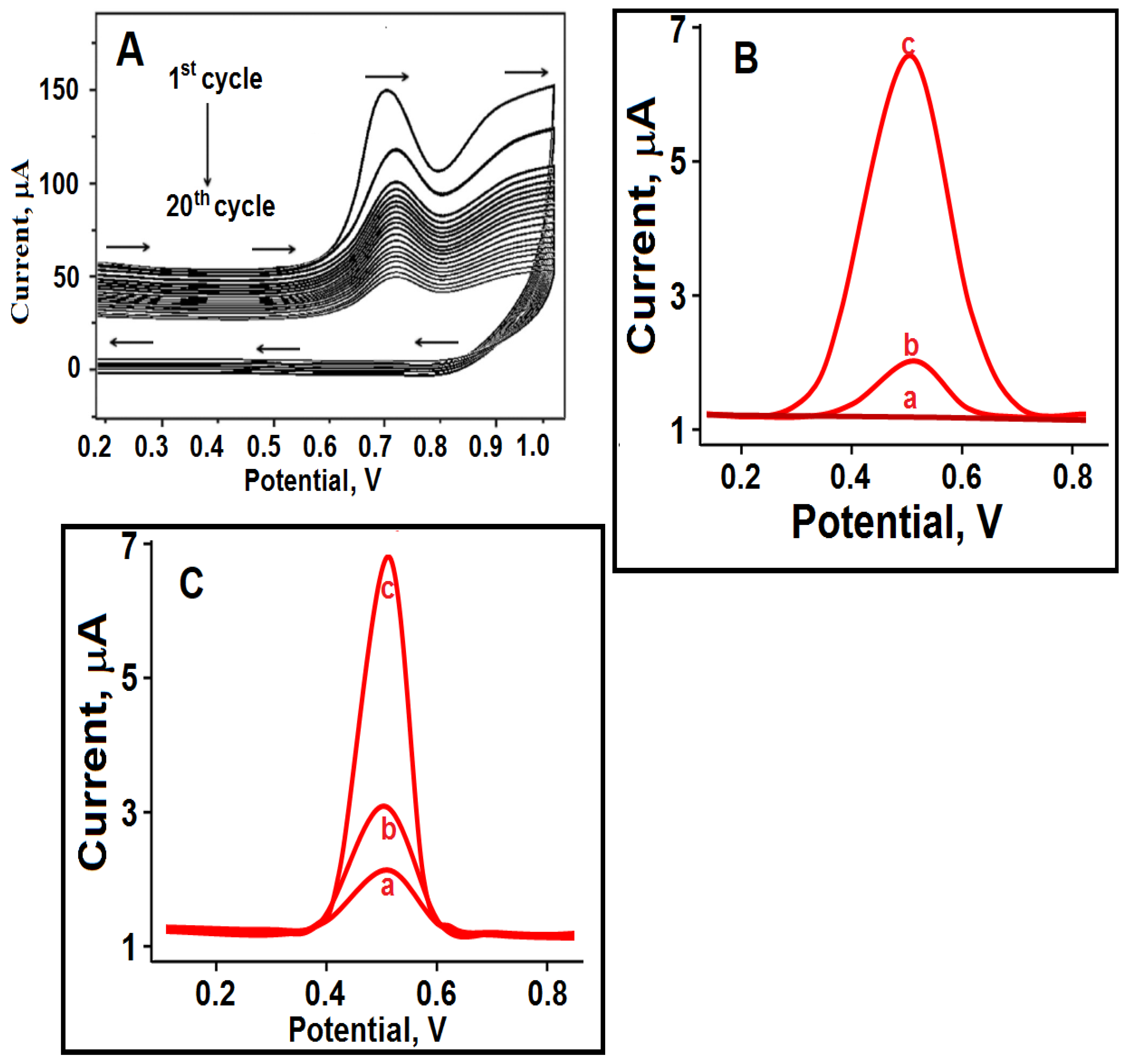 Biosensors 13 00760 g005 Biosensors 13 00760 g005