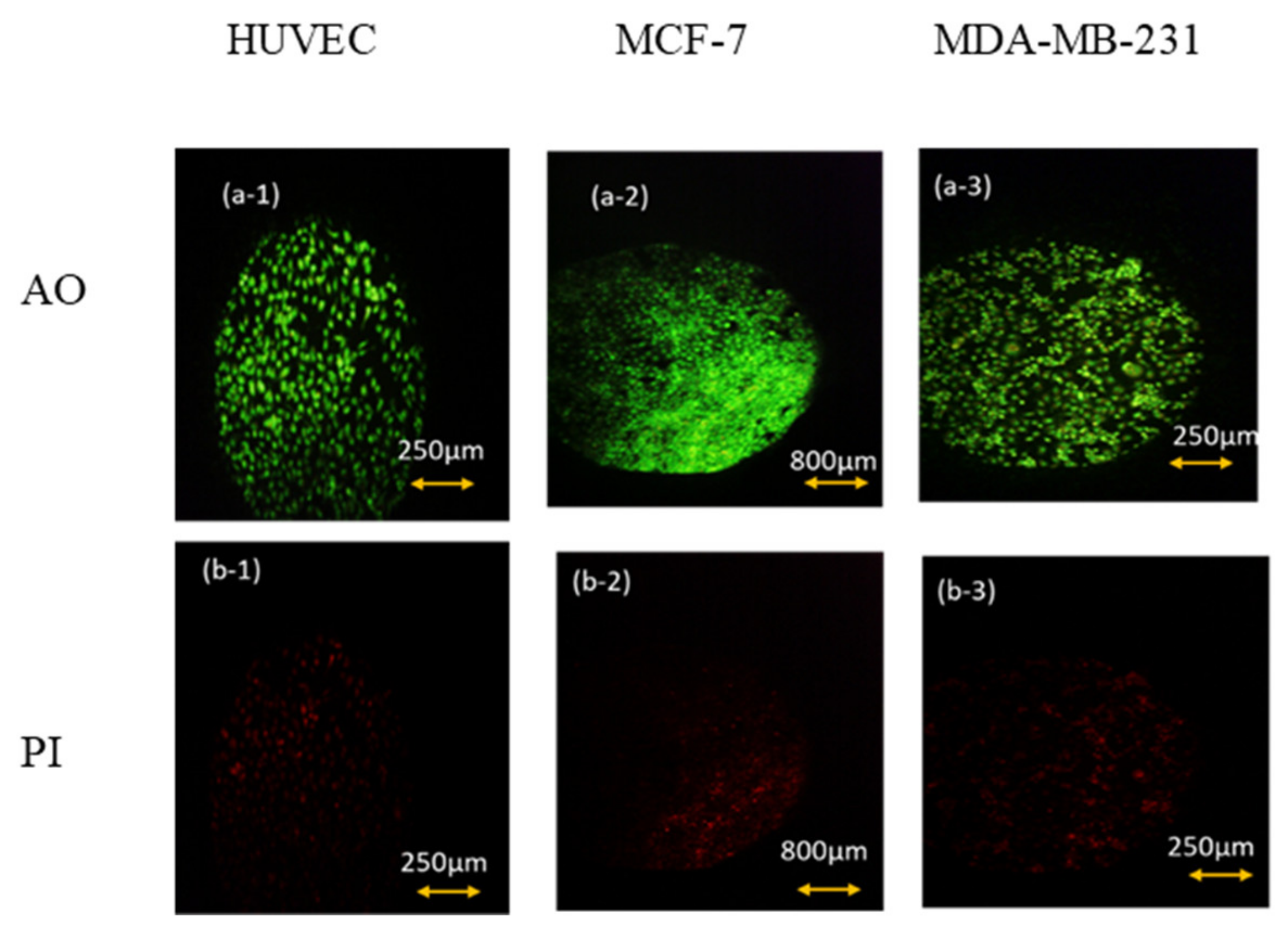 Biosensors 13 00762 g004 Biosensors 13 00762 g004