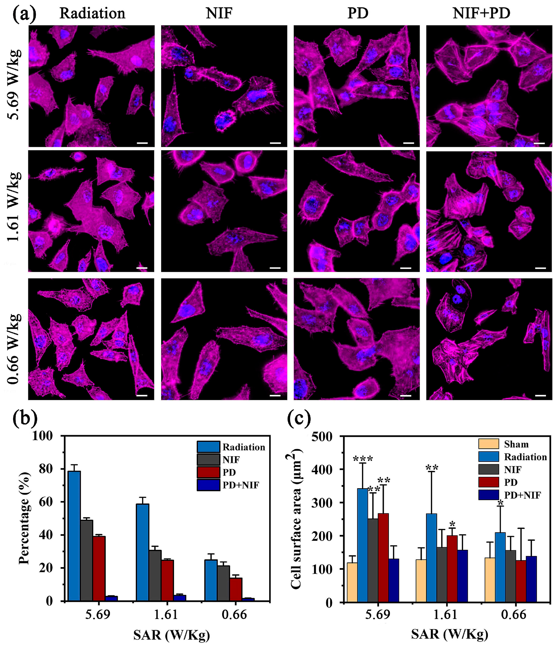 Biosensors 13 00763 g005 Biosensors 13 00763 g005