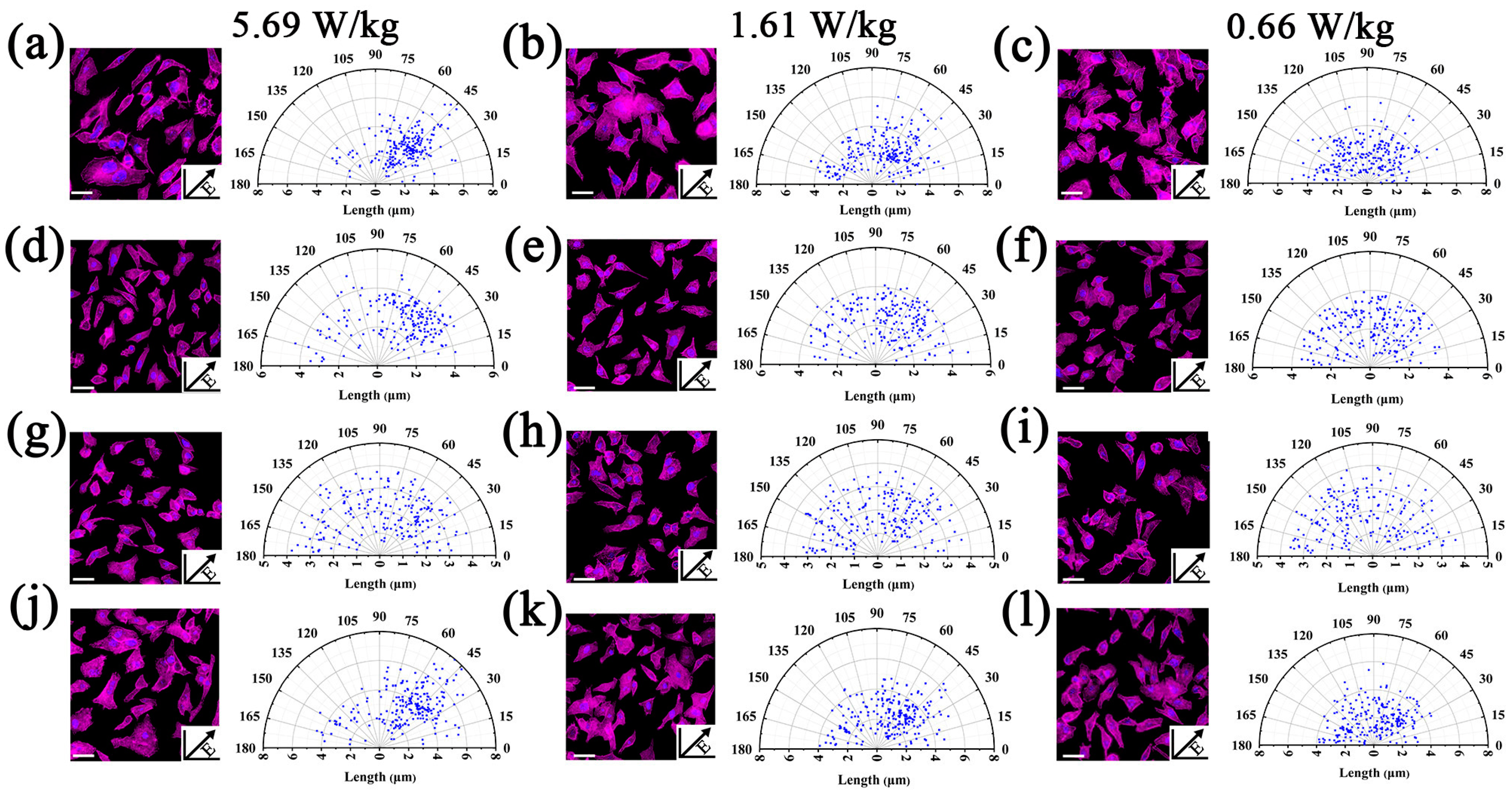 Biosensors 13 00763 g007 Biosensors 13 00763 g007