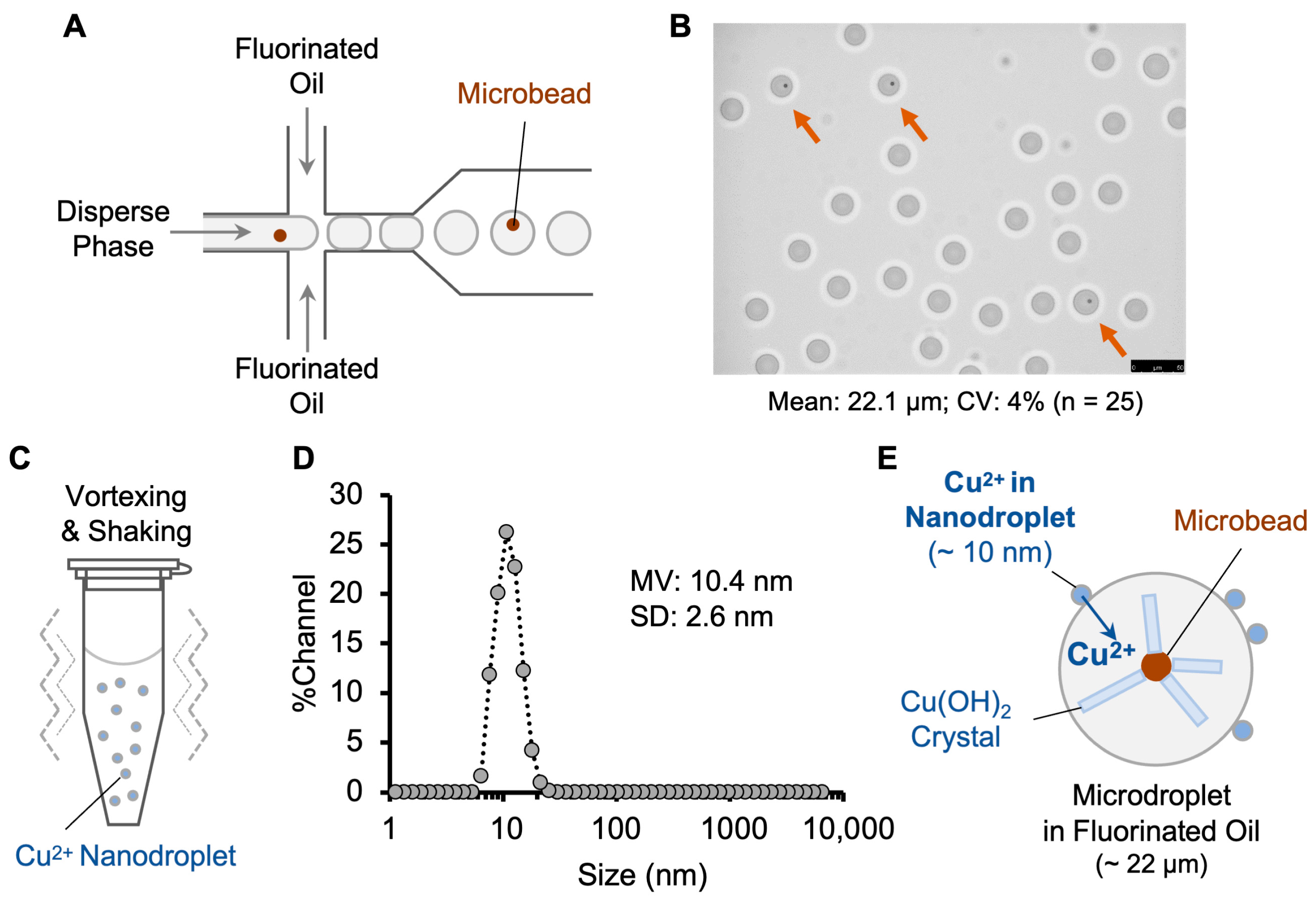 Biosensors 13 00768 g001