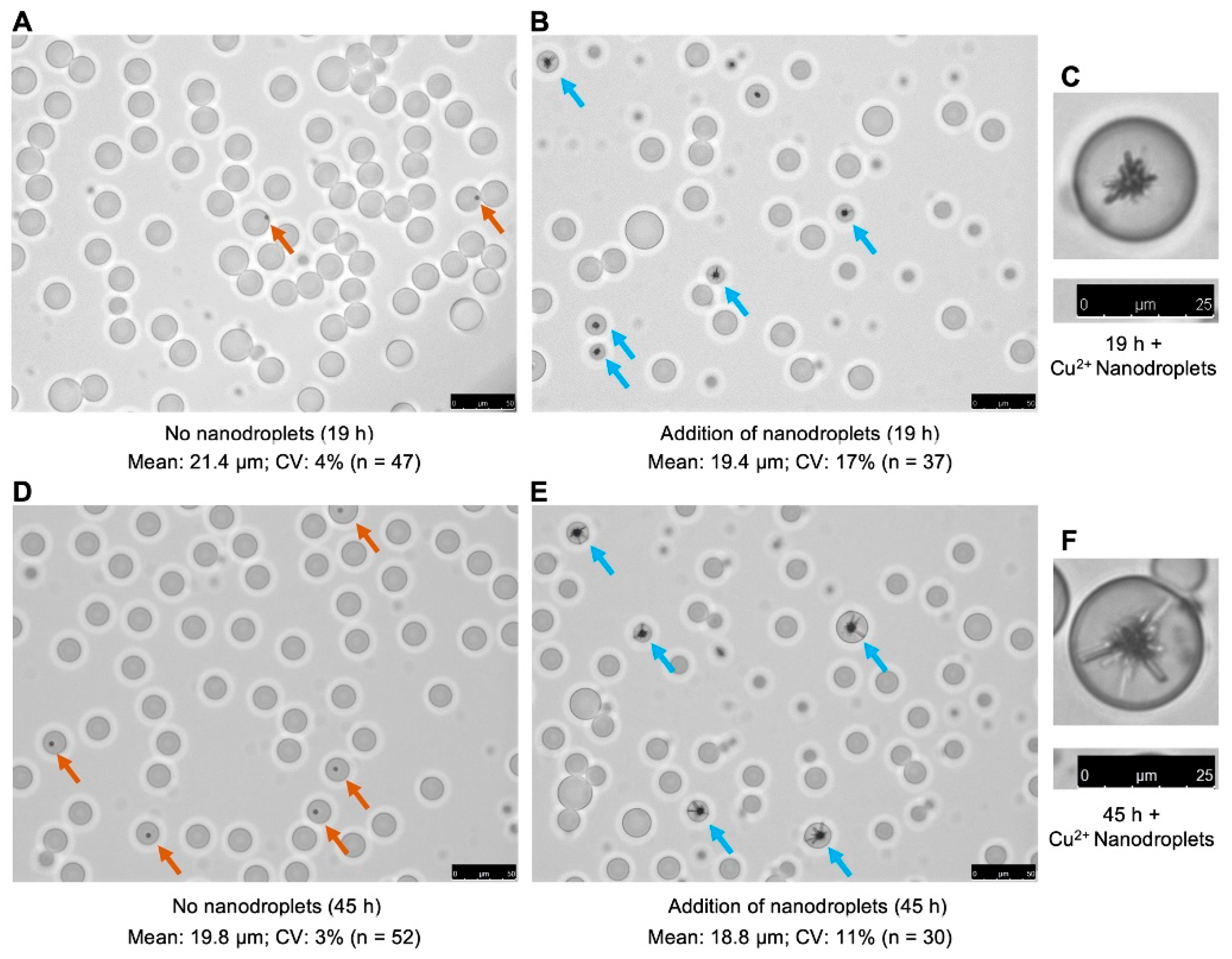 Biosensors 13 00768 g002