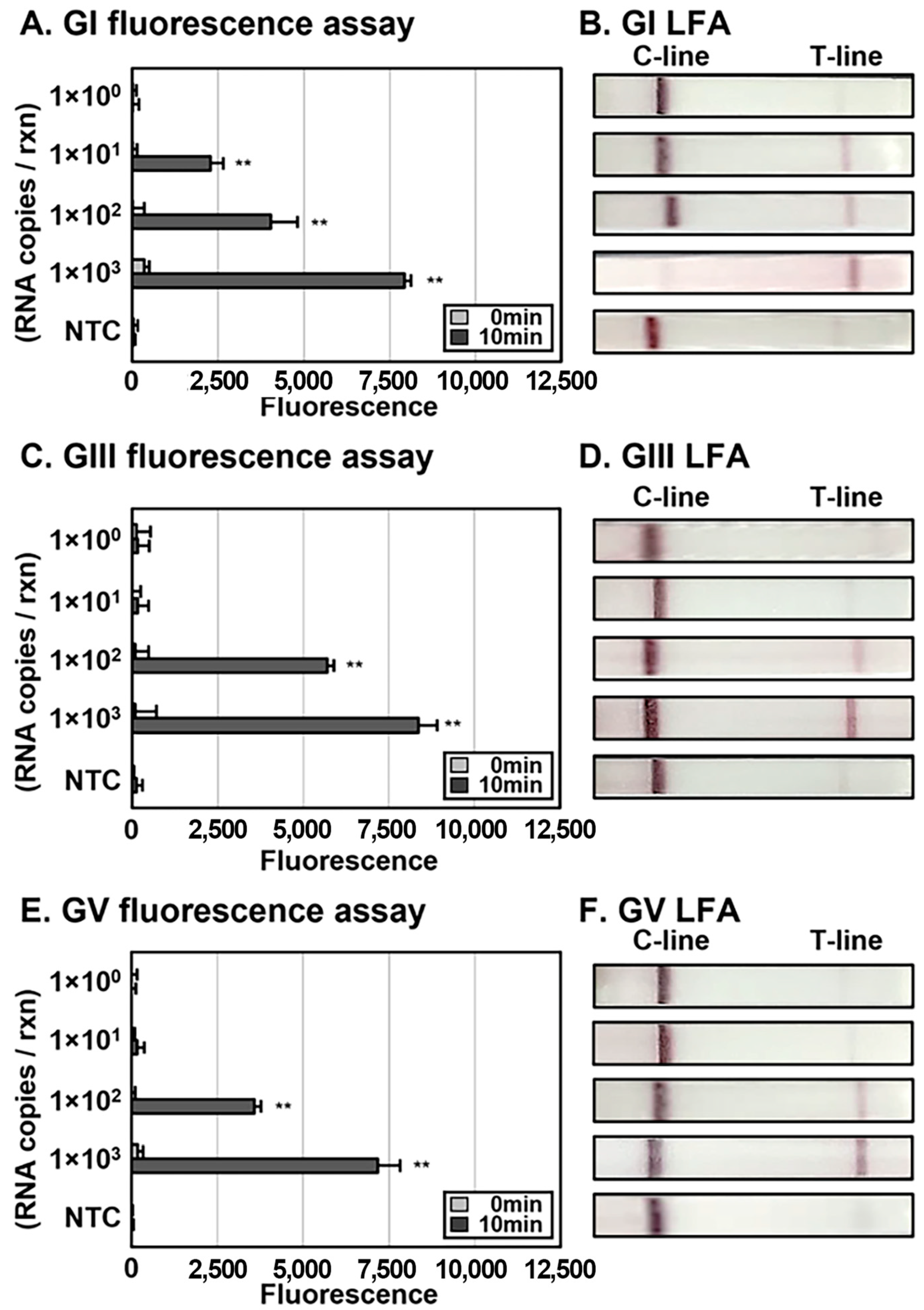 Biosensors 13 00769 g004 Biosensors 13 00769 g004