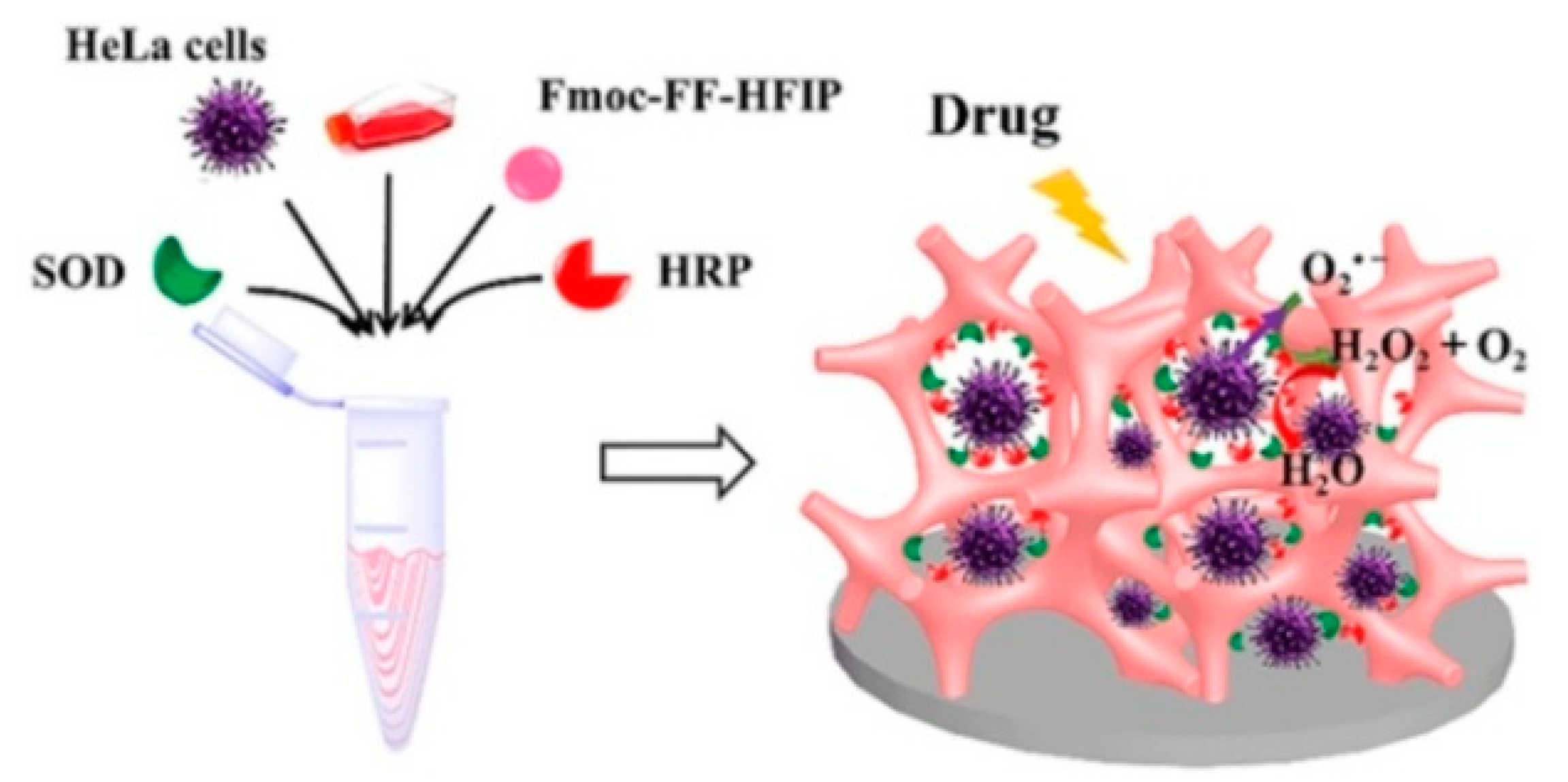 Biosensors 13 00773 g001 Biosensors 13 00773 g001