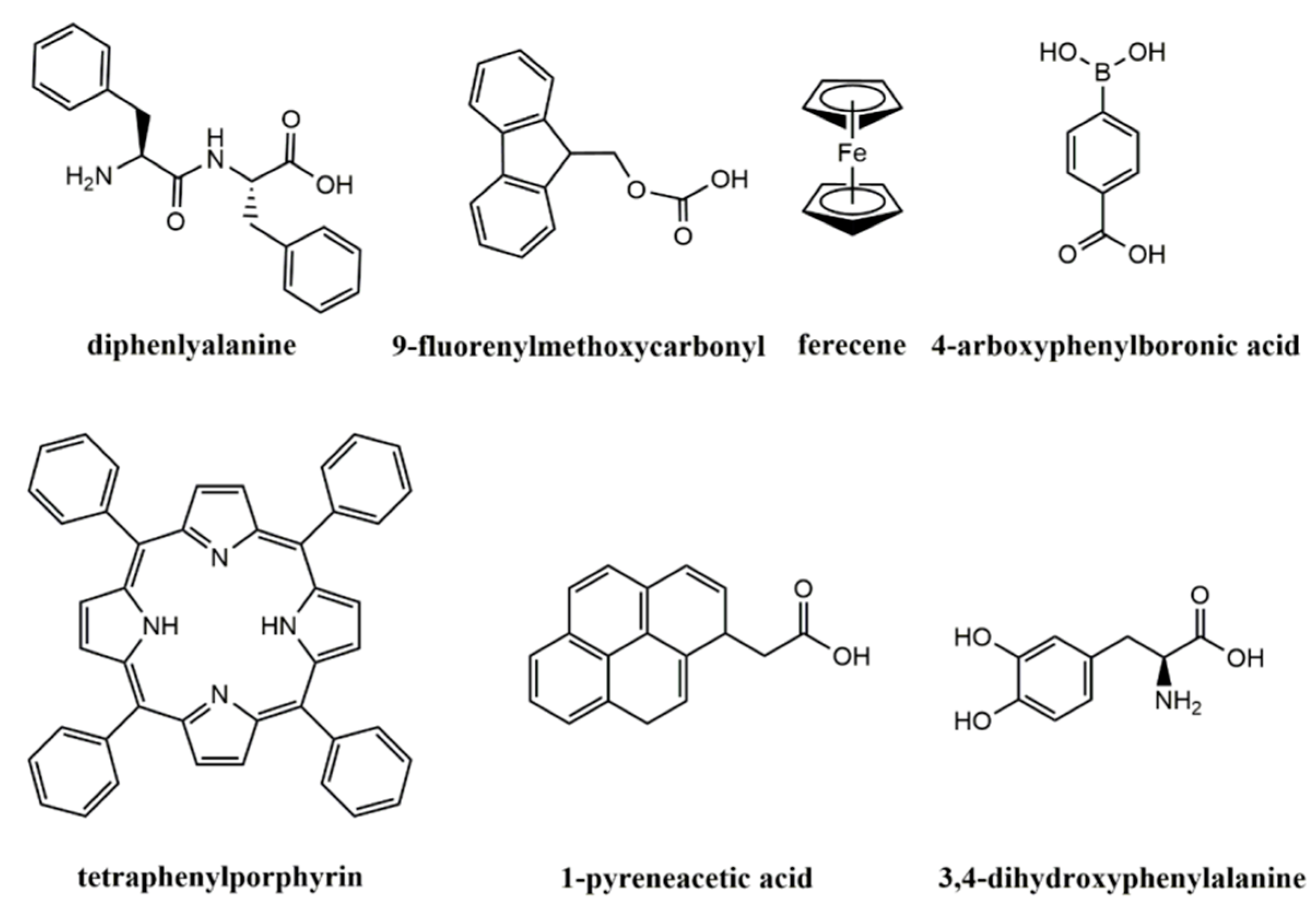 Biosensors 13 00773 g002 Biosensors 13 00773 g002