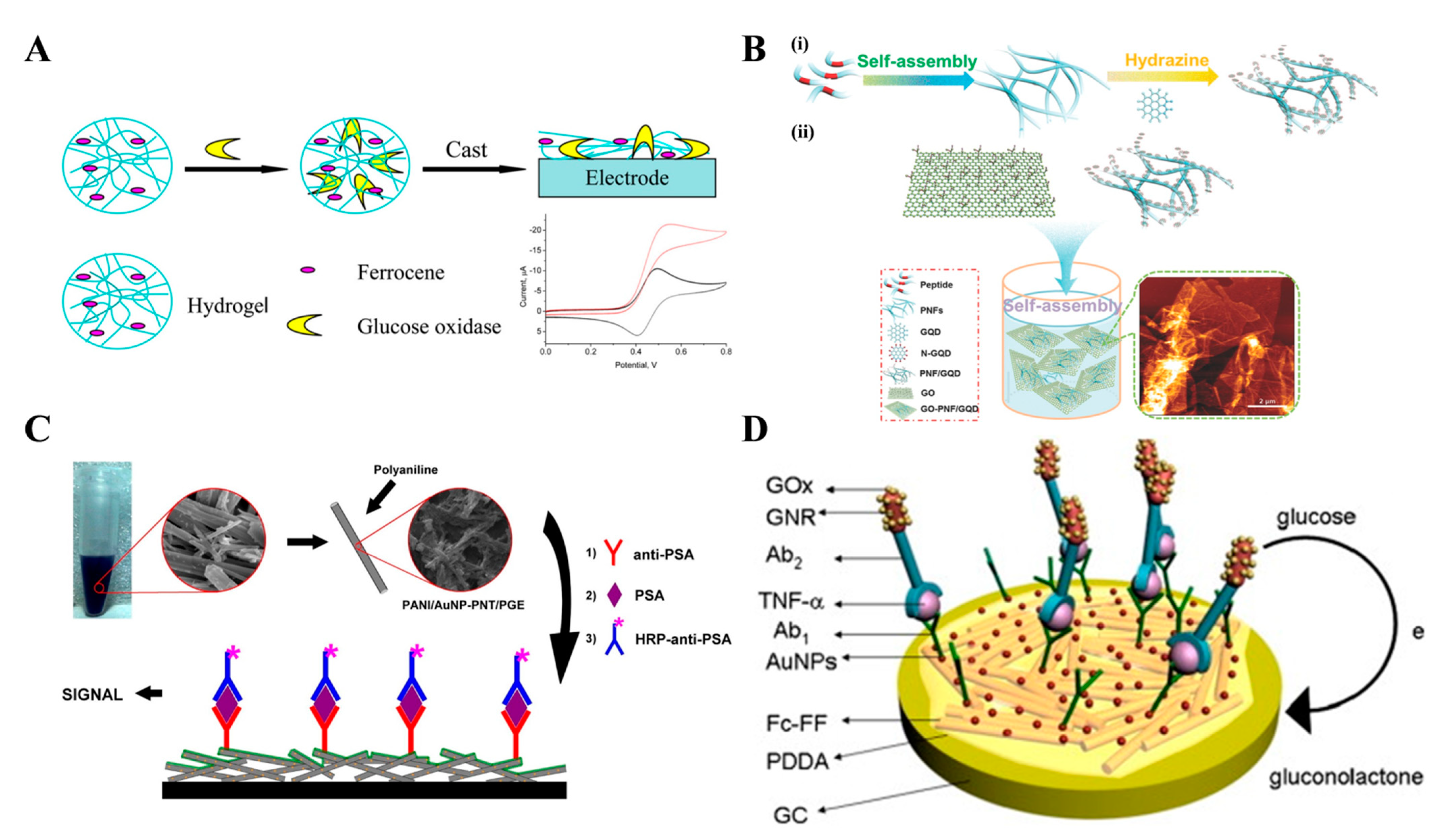 Biosensors 13 00773 g003 Biosensors 13 00773 g003