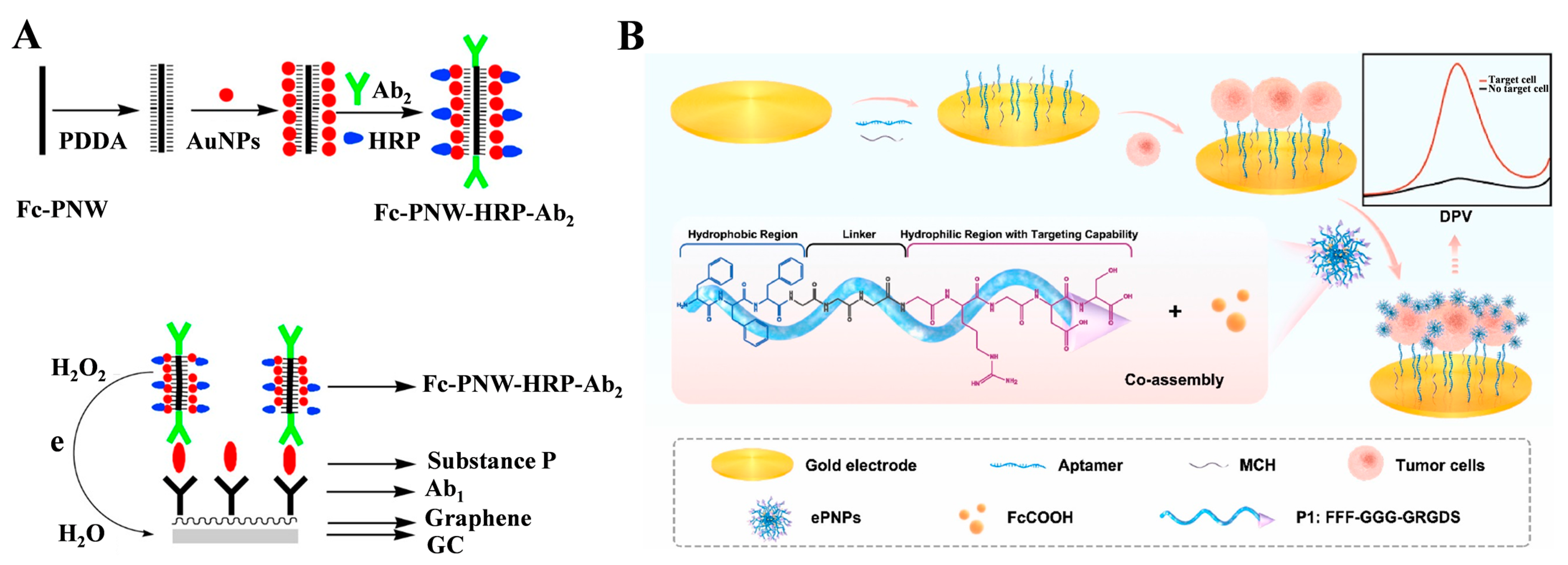 Biosensors 13 00773 g004 Biosensors 13 00773 g004