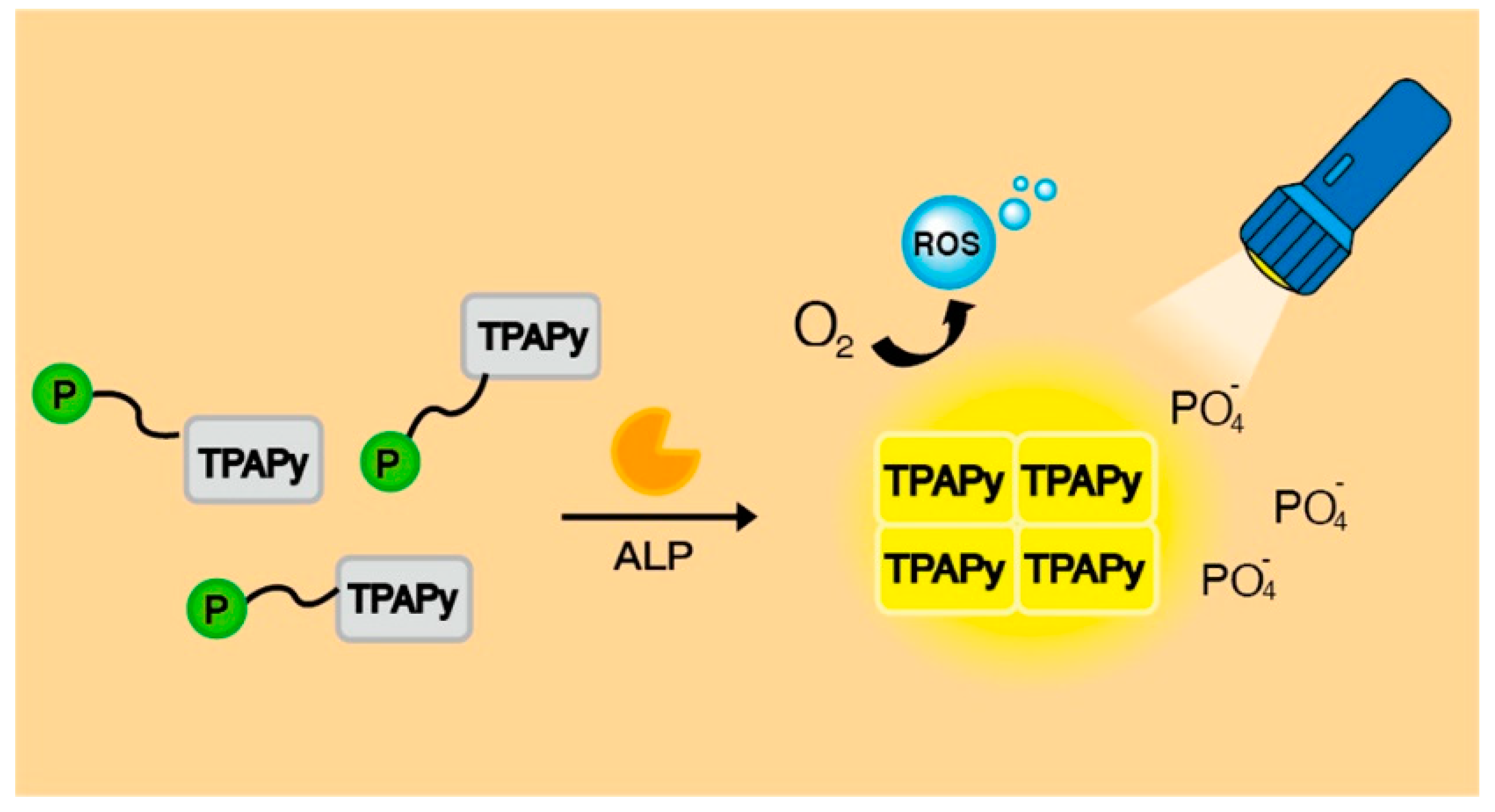 Biosensors 13 00773 g007 Biosensors 13 00773 g007