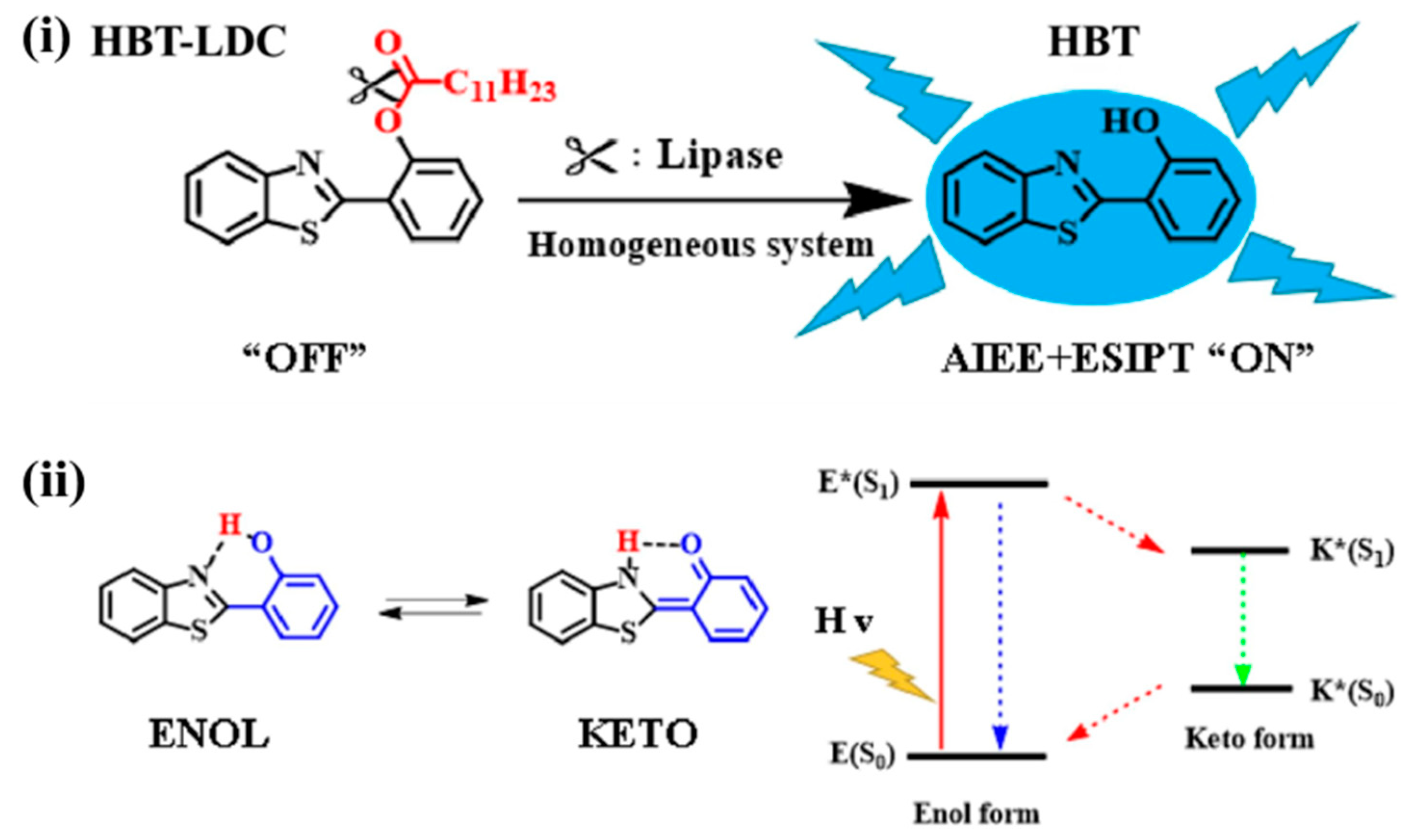 Biosensors 13 00773 g008 Biosensors 13 00773 g008