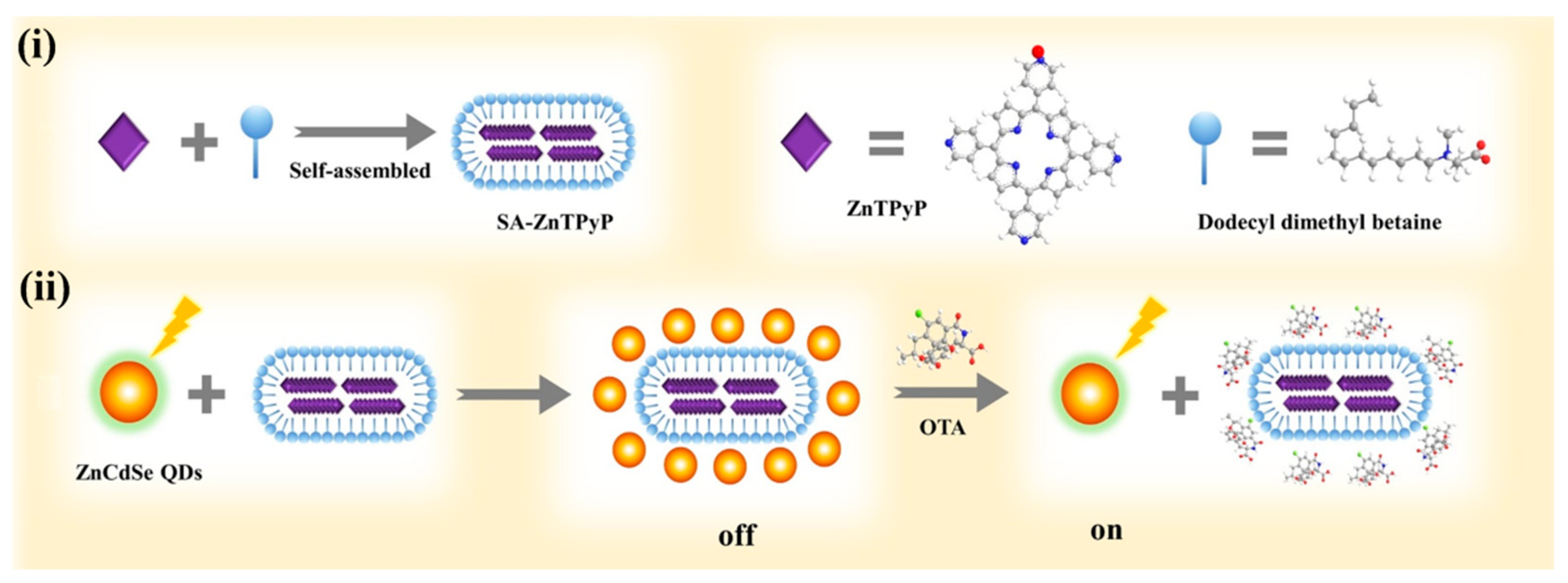 Biosensors 13 00773 g009 Biosensors 13 00773 g009