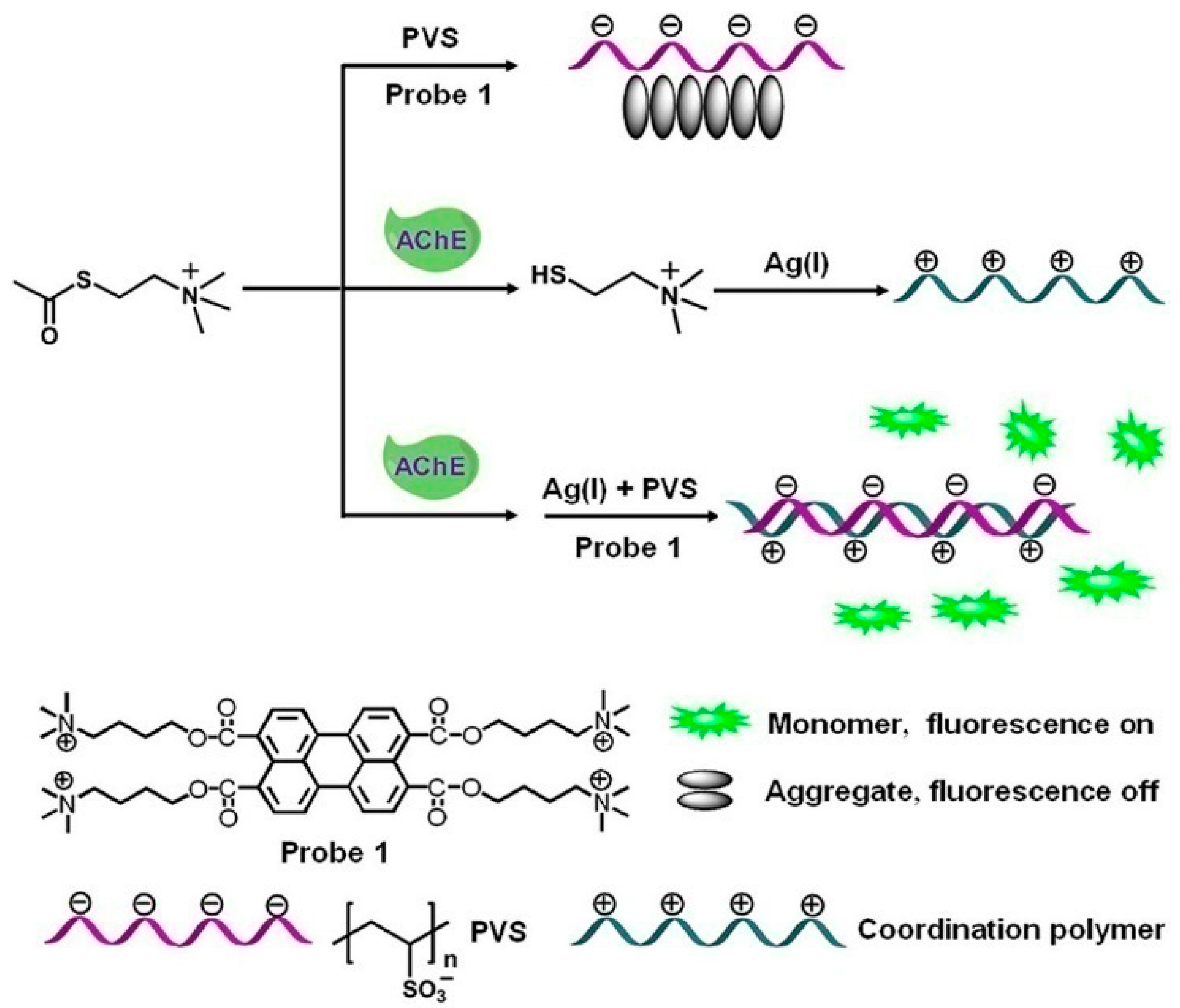 Biosensors 13 00773 g011 Biosensors 13 00773 g011
