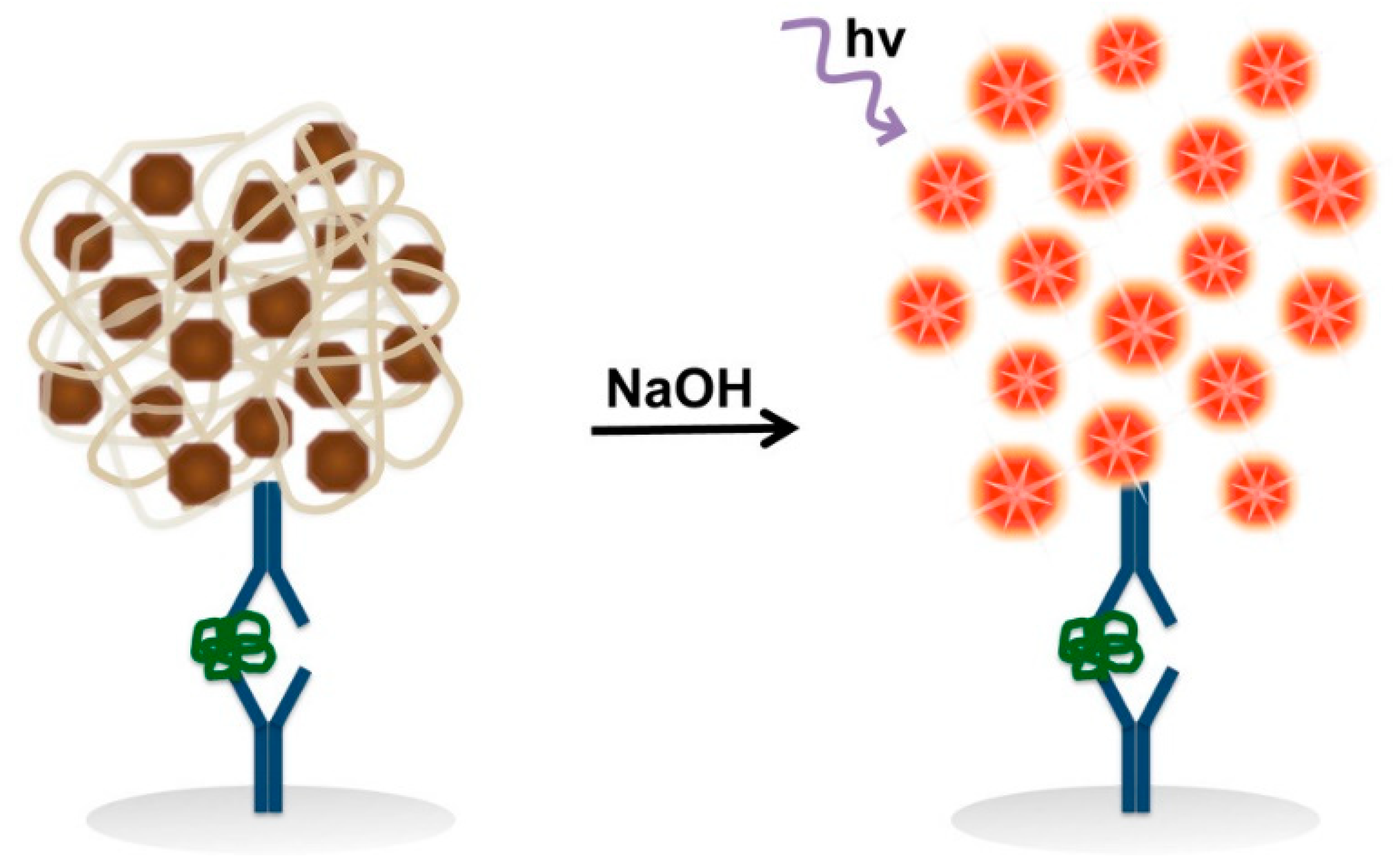 Biosensors 13 00773 g012 Biosensors 13 00773 g012