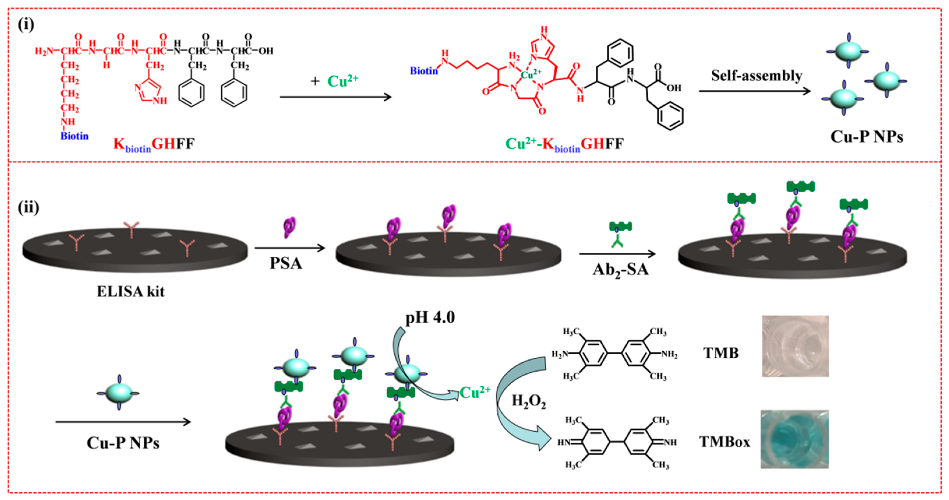 Biosensors 13 00773 g013 Biosensors 13 00773 g013