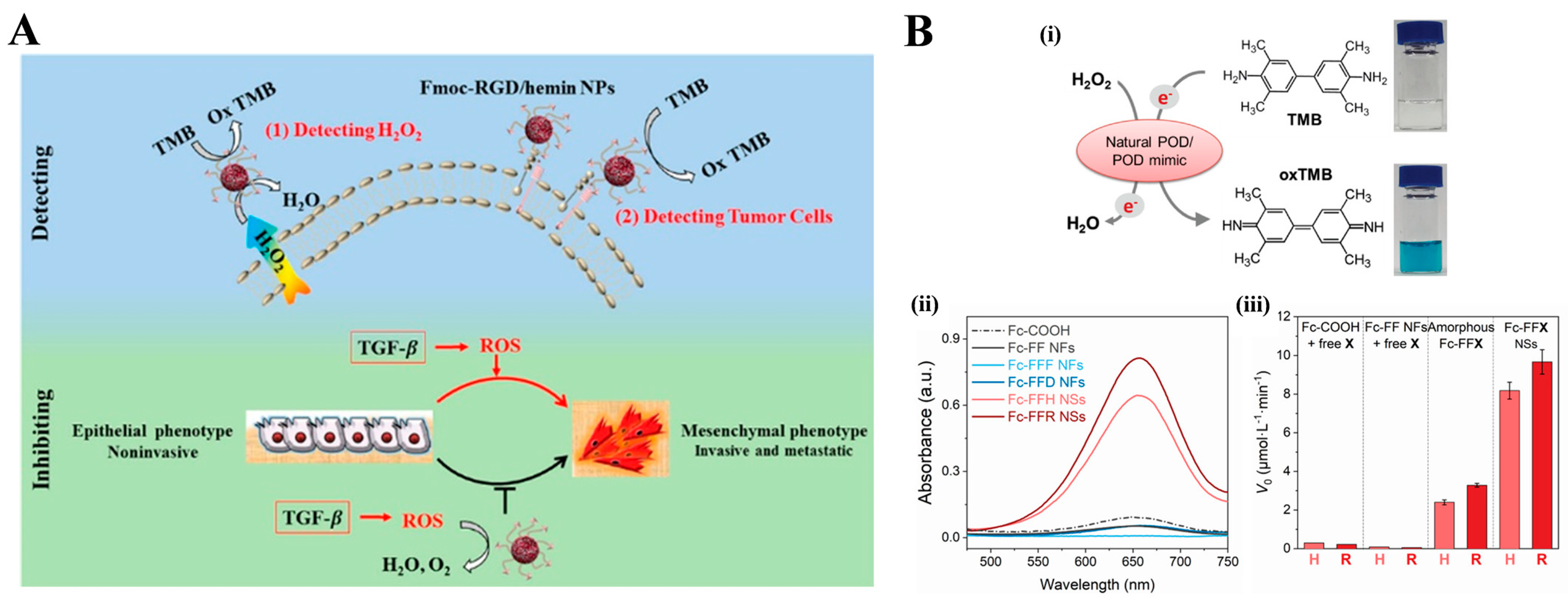 Biosensors 13 00773 g014 Biosensors 13 00773 g014