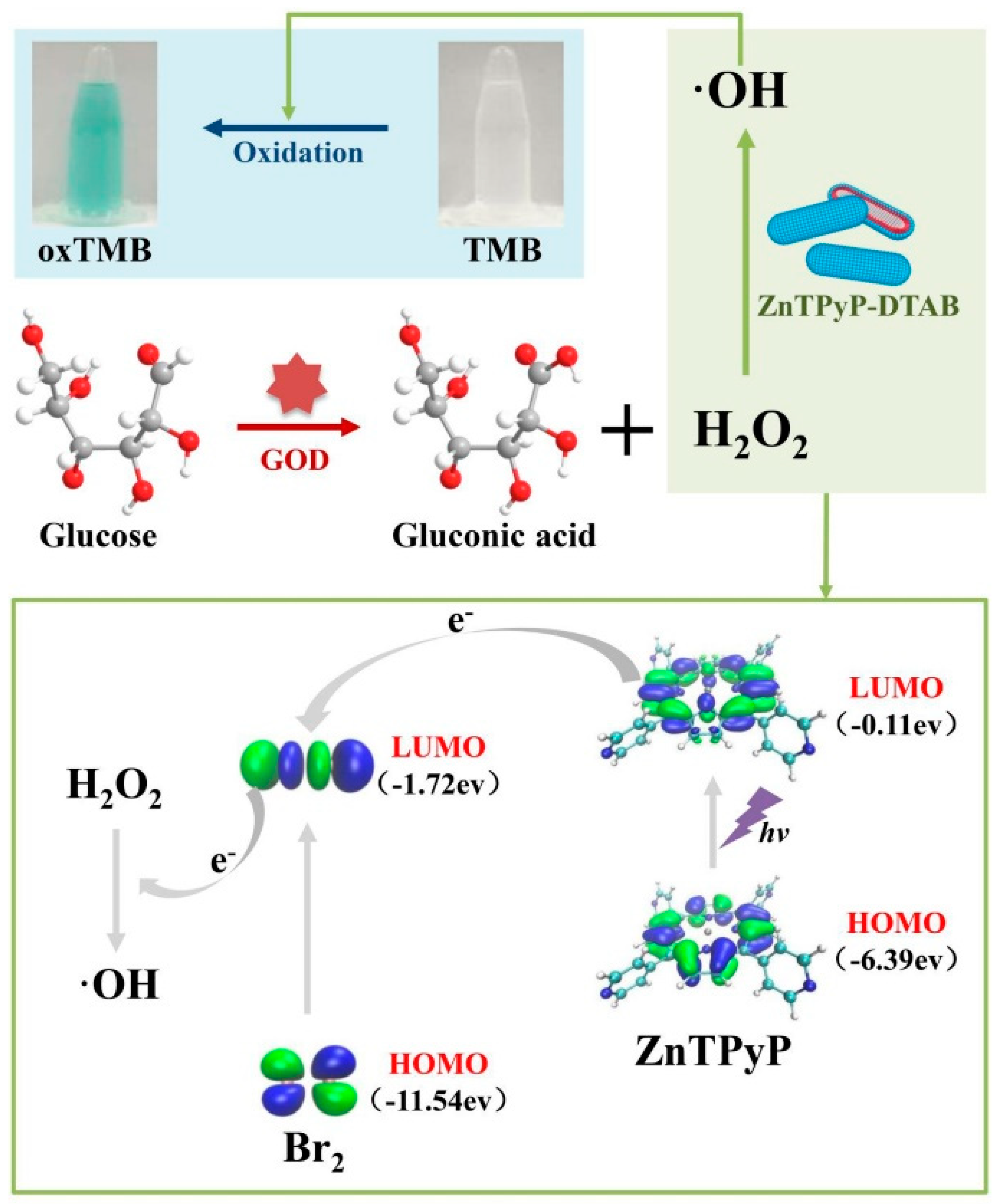 Biosensors 13 00773 g015 Biosensors 13 00773 g015