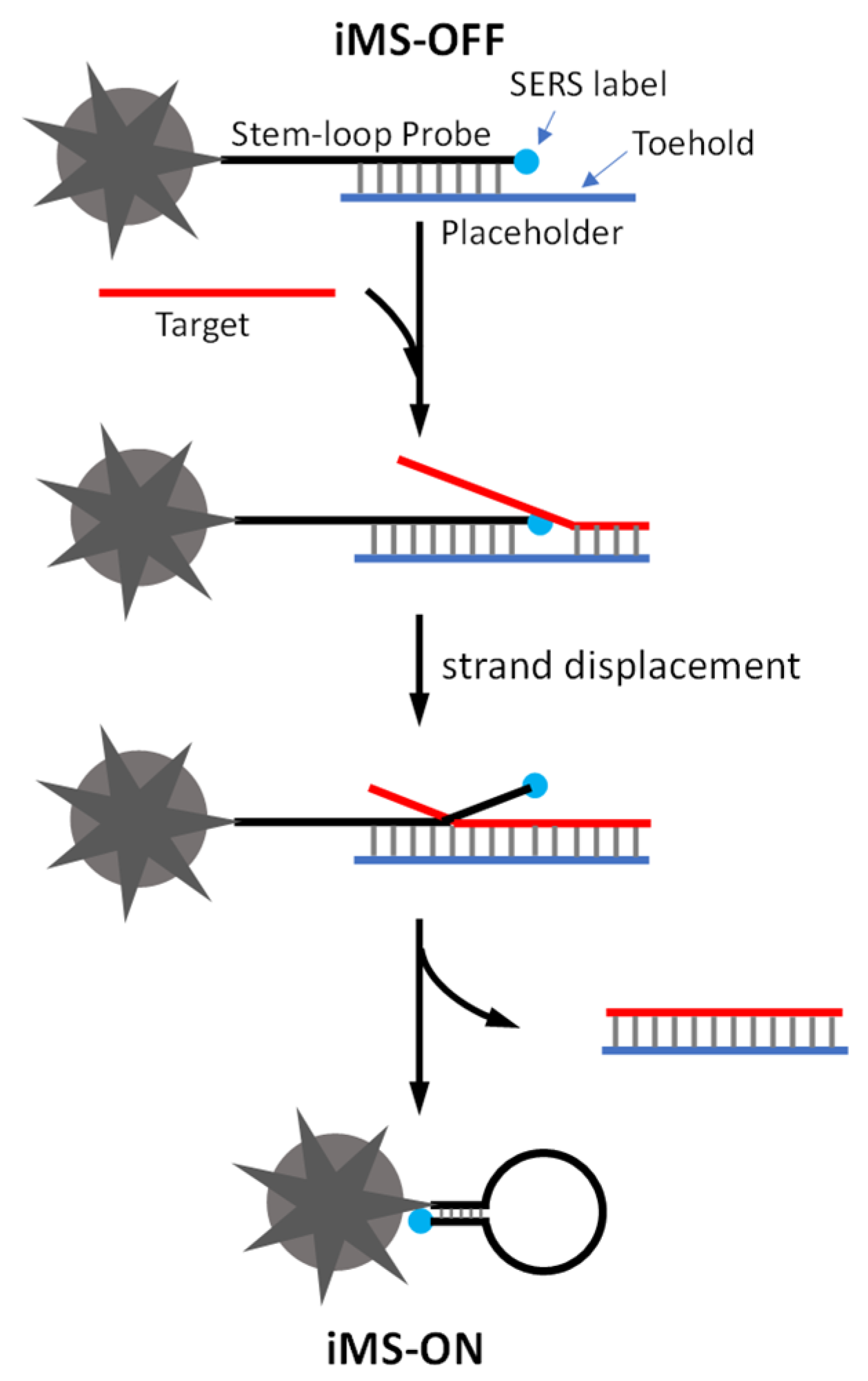 Biosensors 13 00774 g001 Biosensors 13 00774 g001