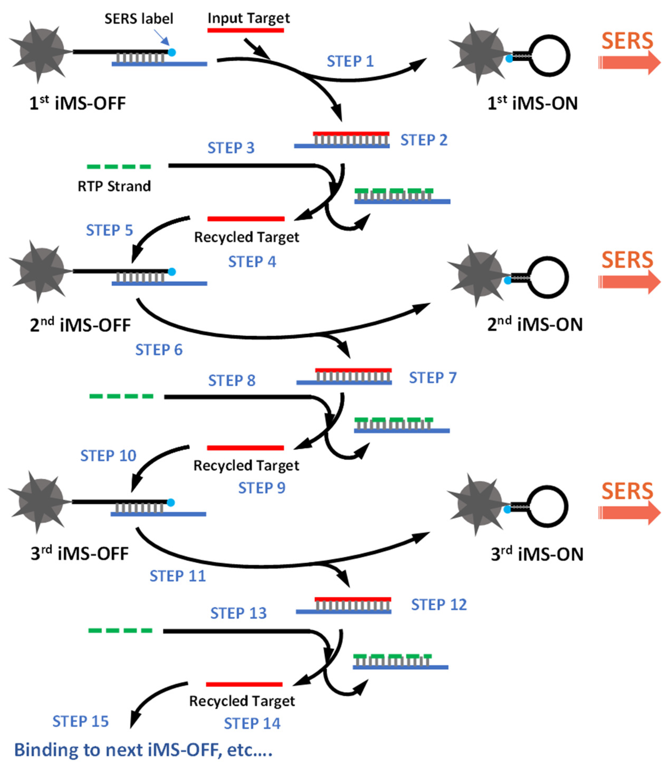 Biosensors 13 00774 g004 Biosensors 13 00774 g004