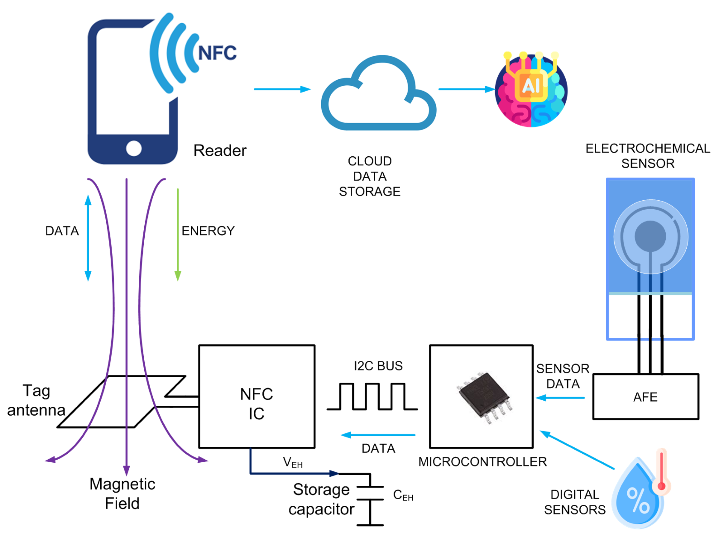 Biosensors 13 00775 g002