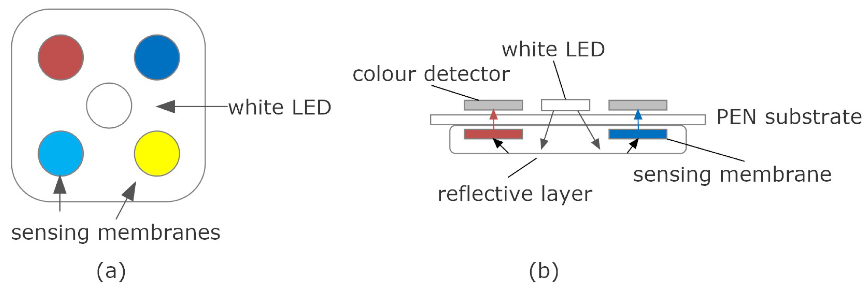 Biosensors 13 00775 g025