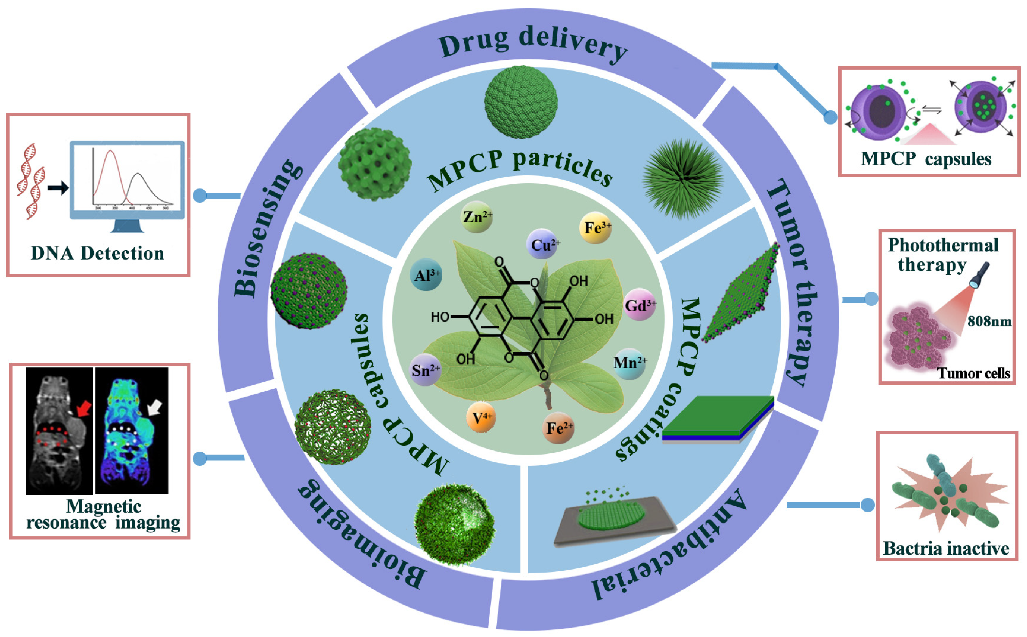 Biosensors 13 00776 g002 Biosensors 13 00776 g002