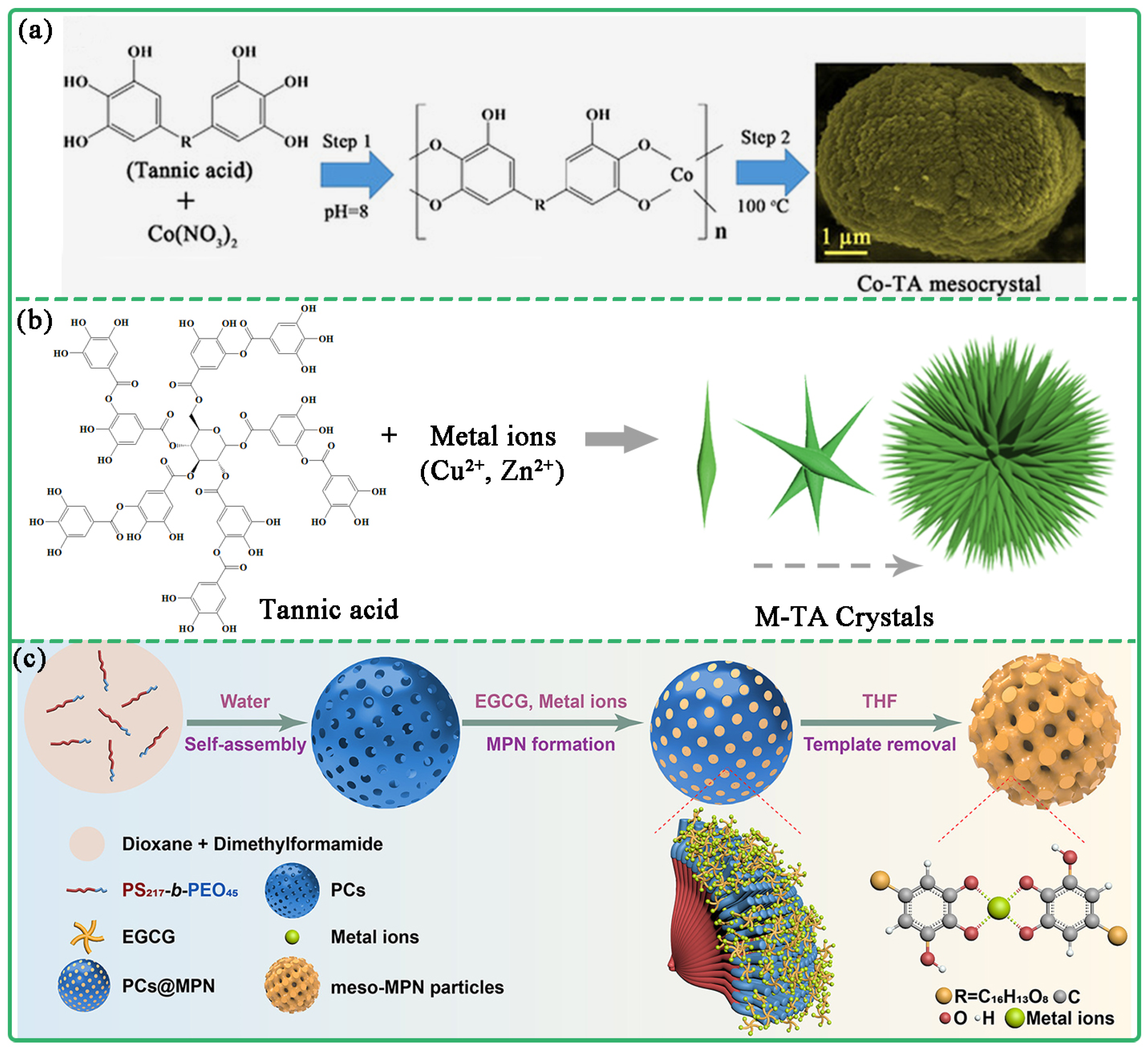 Biosensors 13 00776 g004 Biosensors 13 00776 g004
