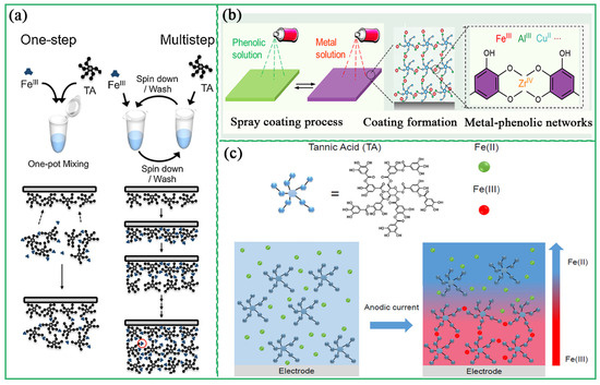 Recent Advances of Metal–Polyphenol Coordination Polymers