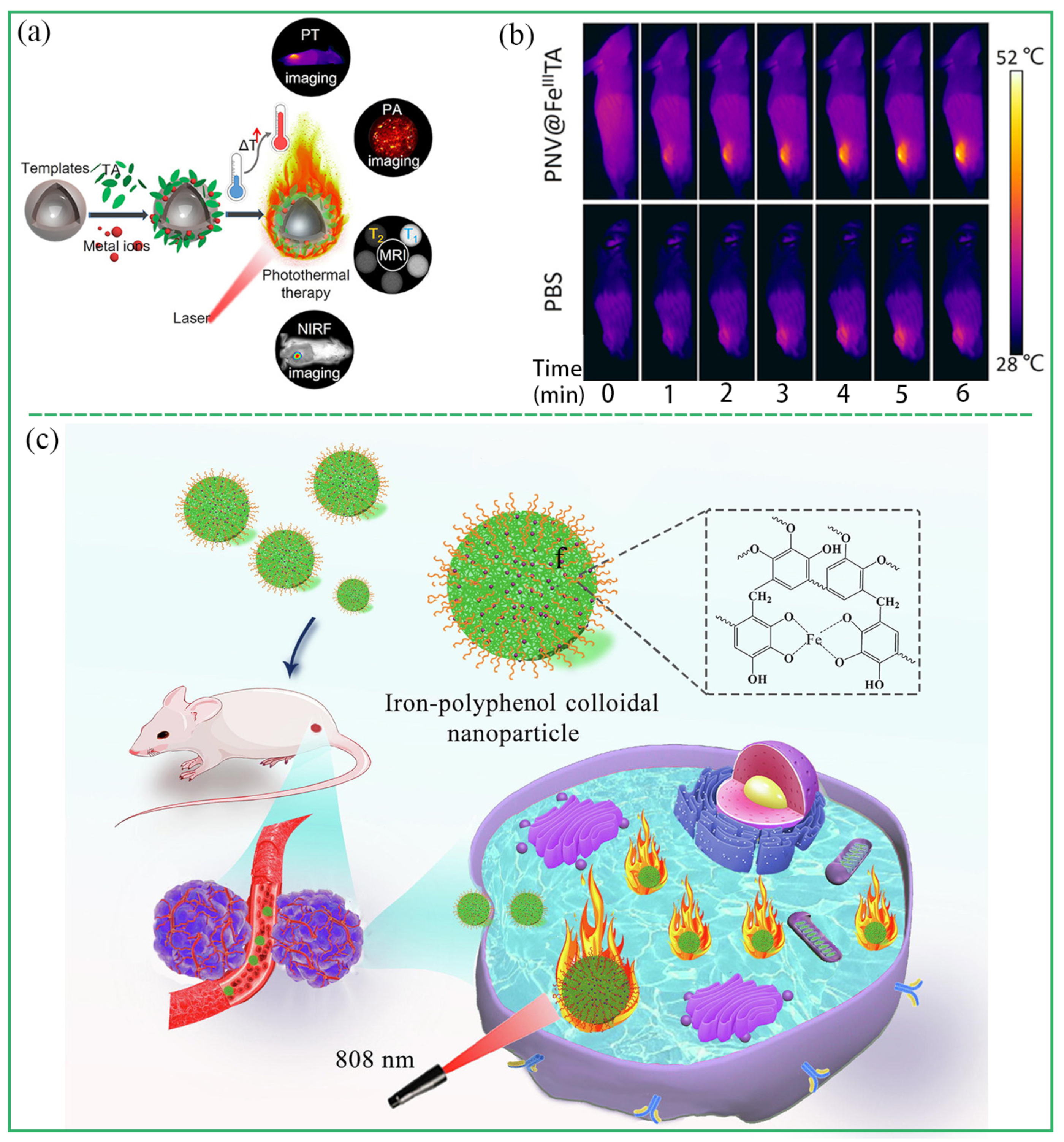 Biosensors 13 00776 g011 Biosensors 13 00776 g011