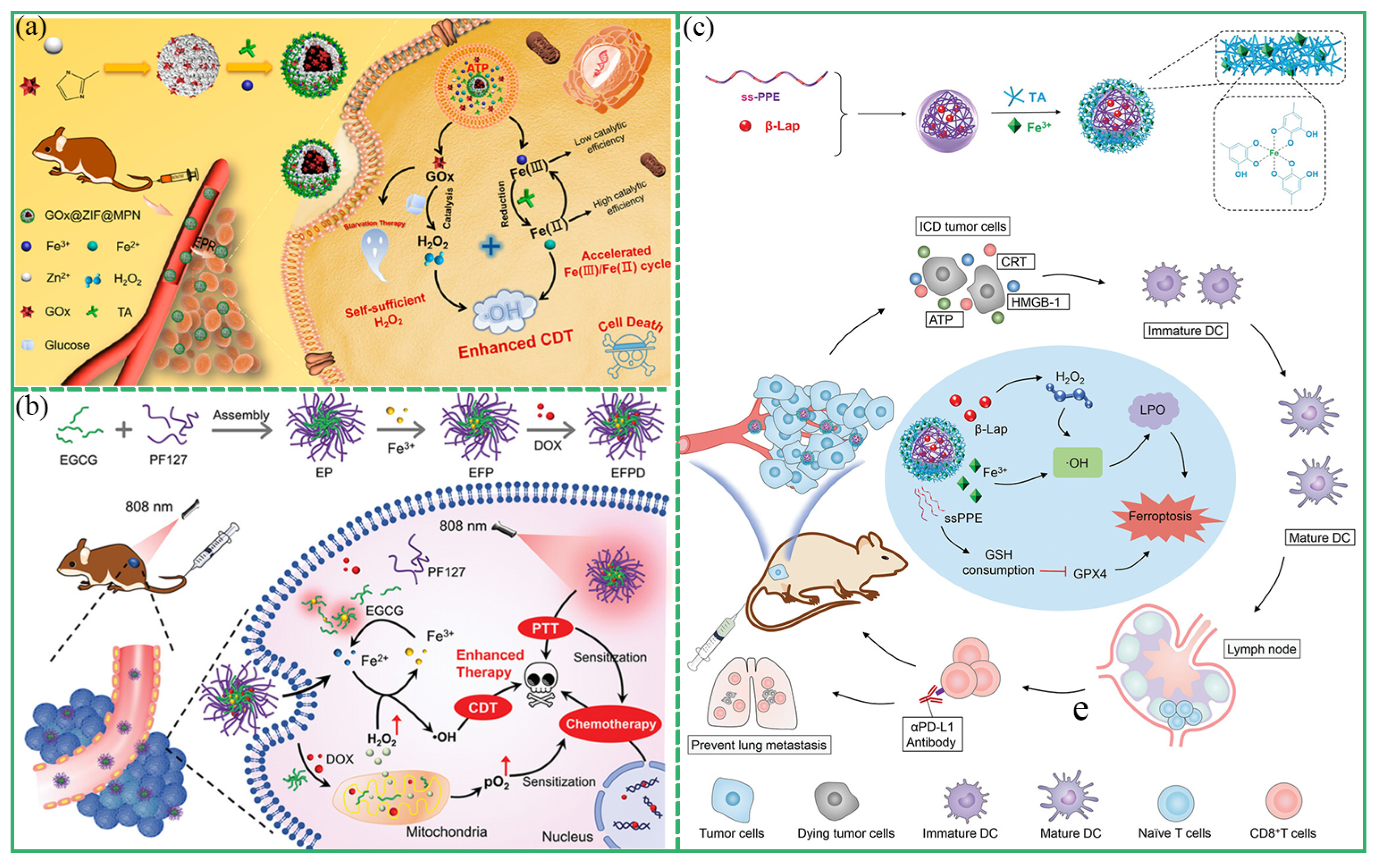 Biosensors 13 00776 g012 Biosensors 13 00776 g012