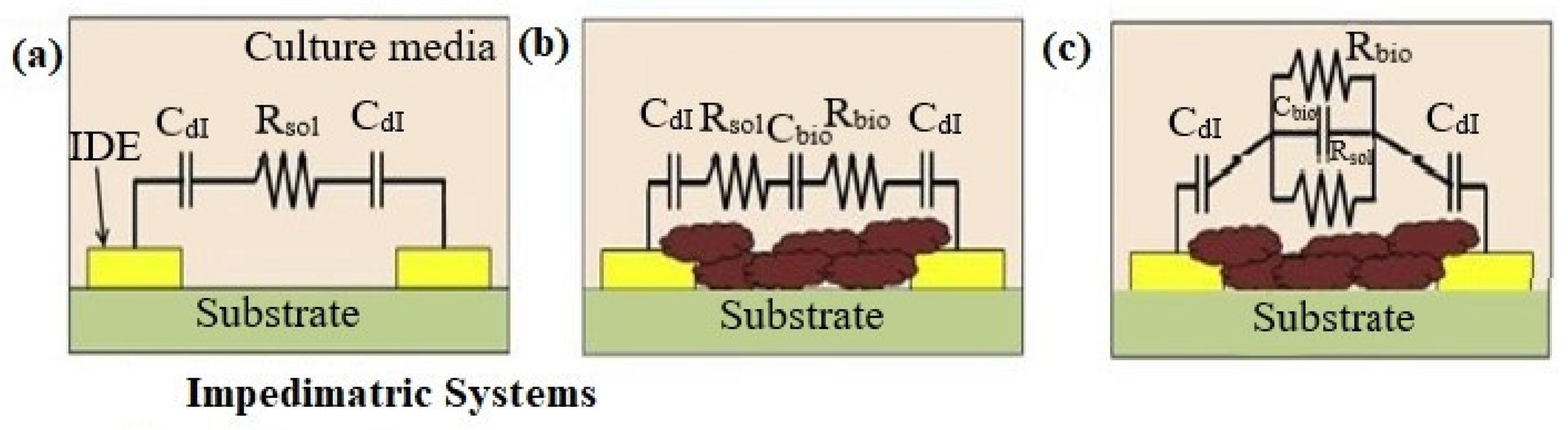 Biosensors 13 00777 g003 Biosensors 13 00777 g003
