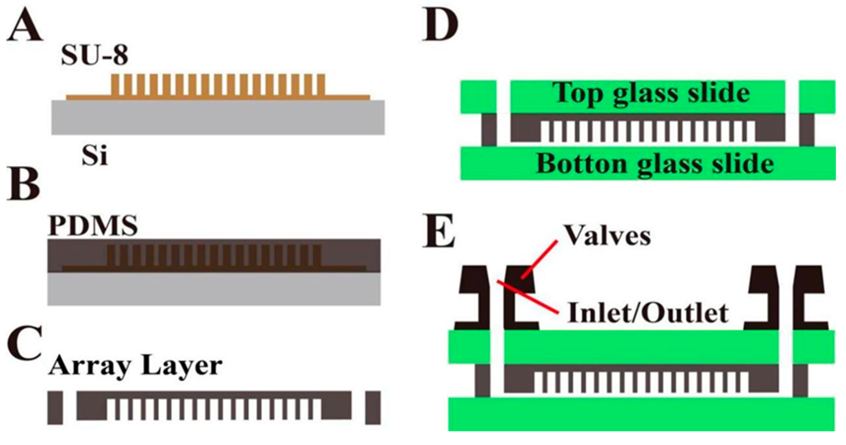 Biosensors 13 00778 g002