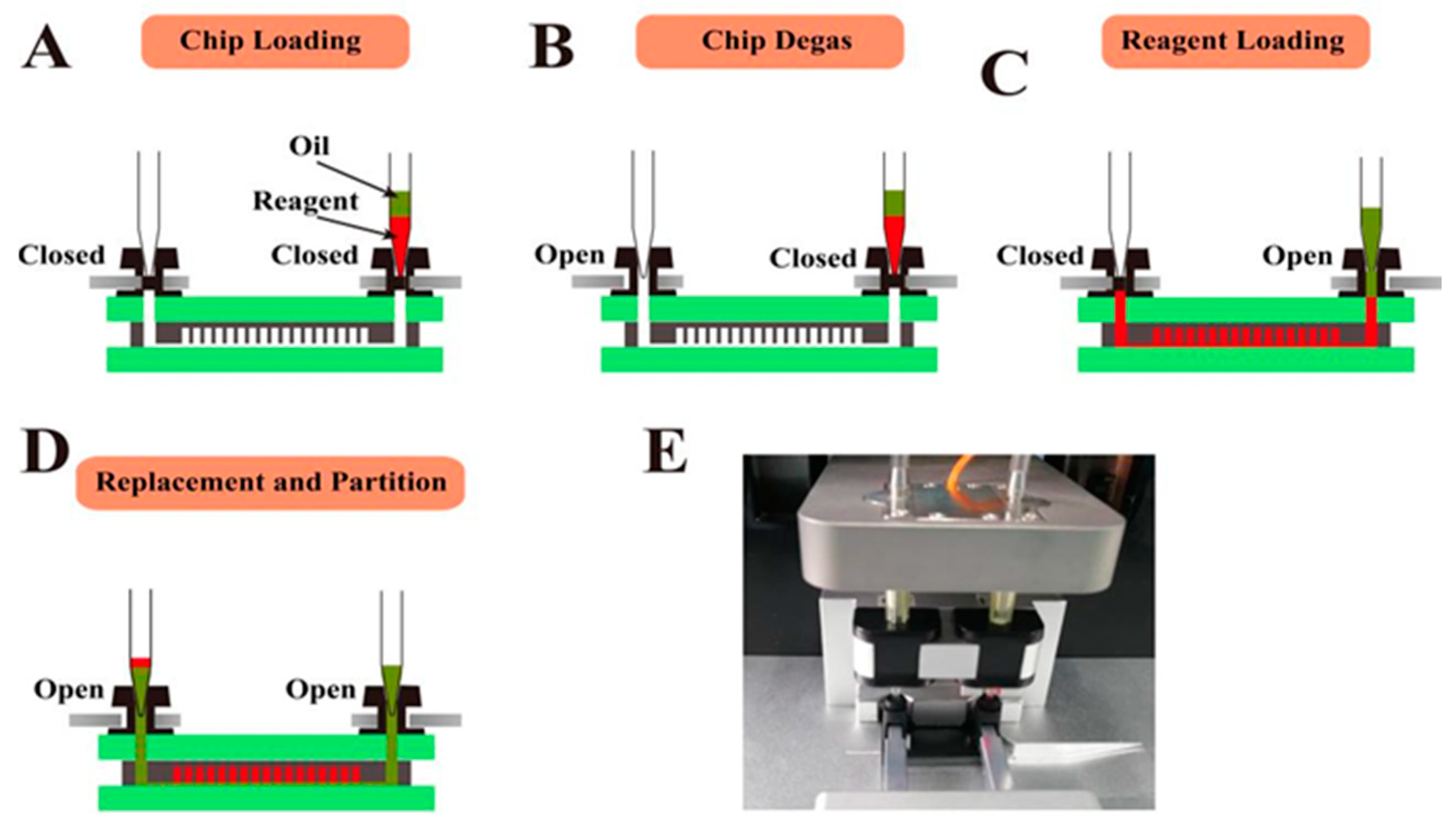 Biosensors 13 00778 g003