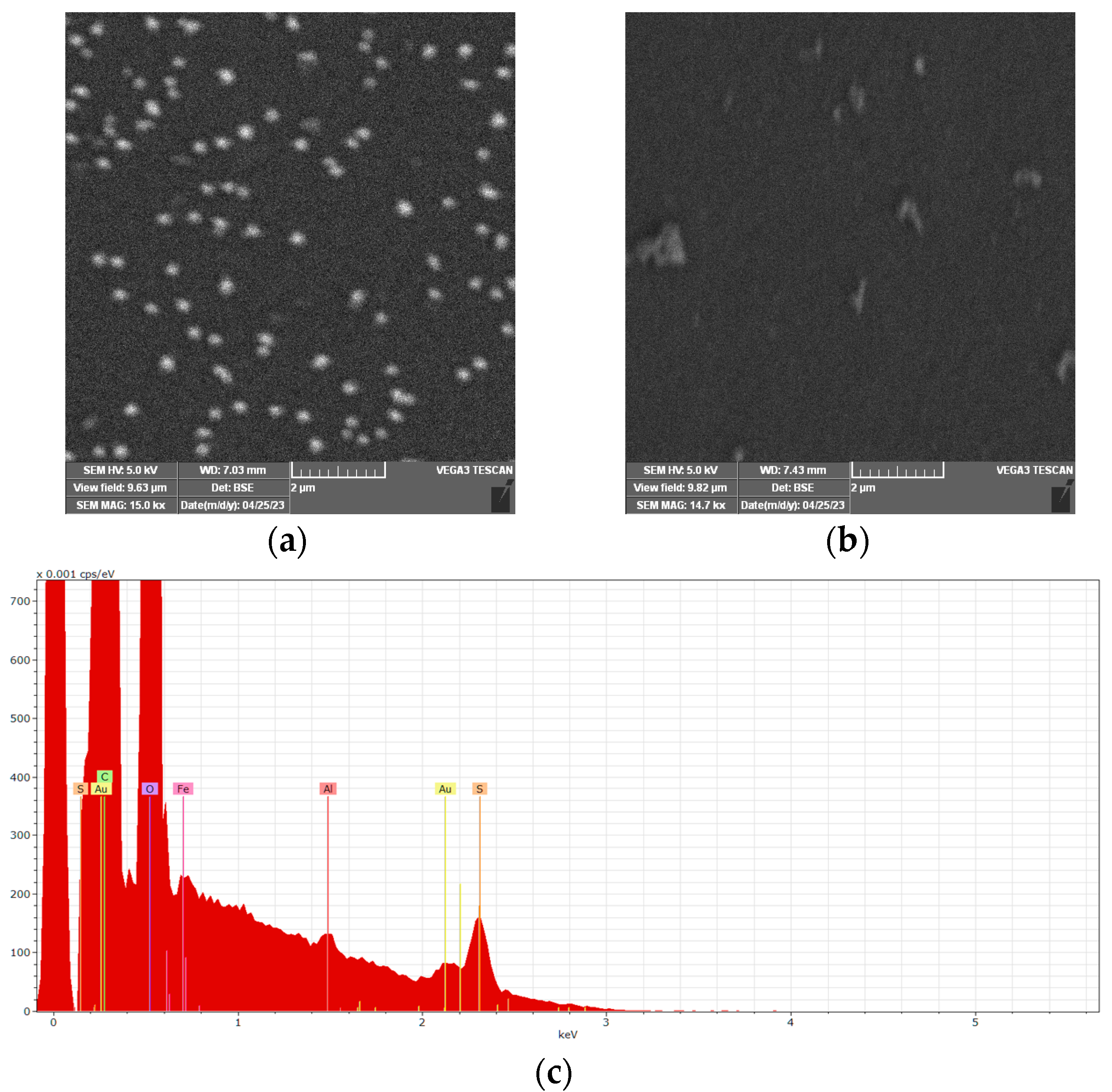 Biosensors 13 00781 g004 Biosensors 13 00781 g004