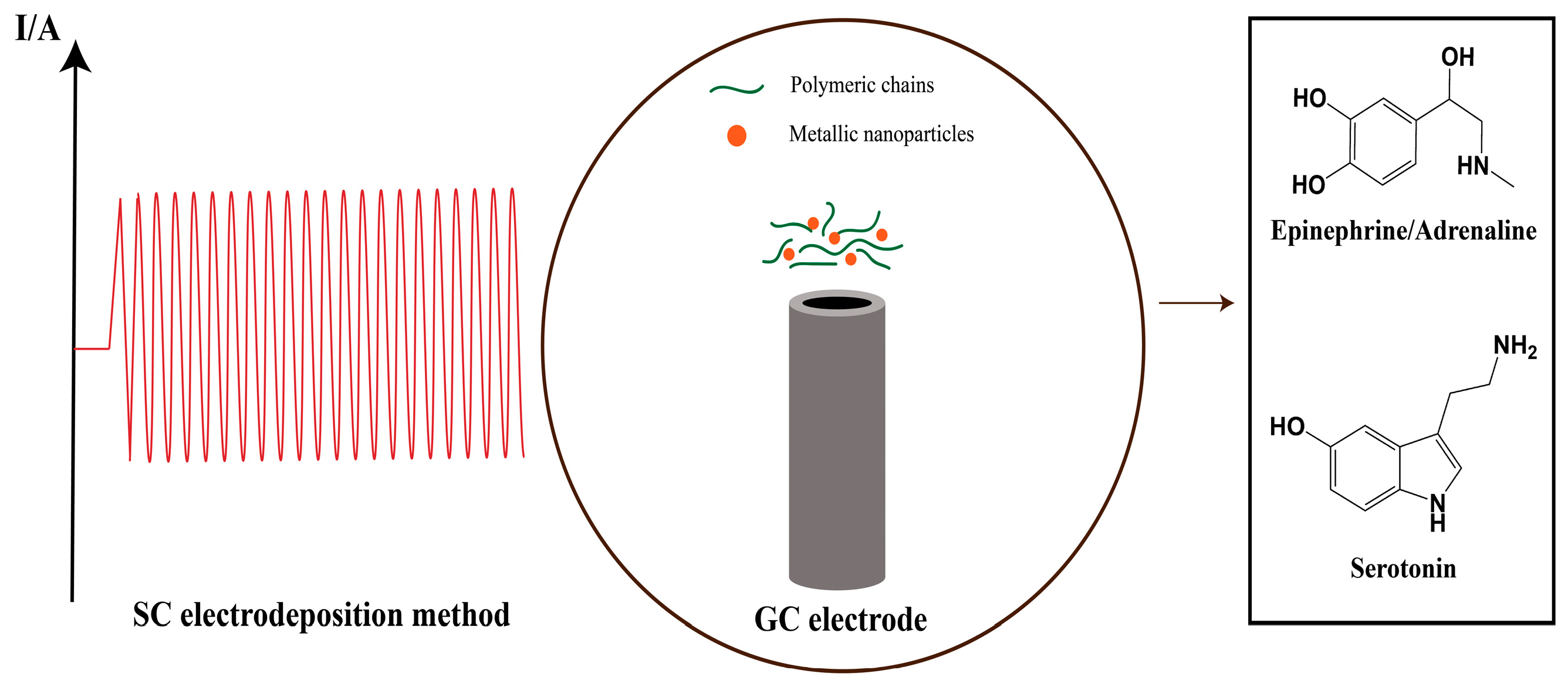 Biosensors 13 00781 sch001 Biosensors 13 00781 sch001