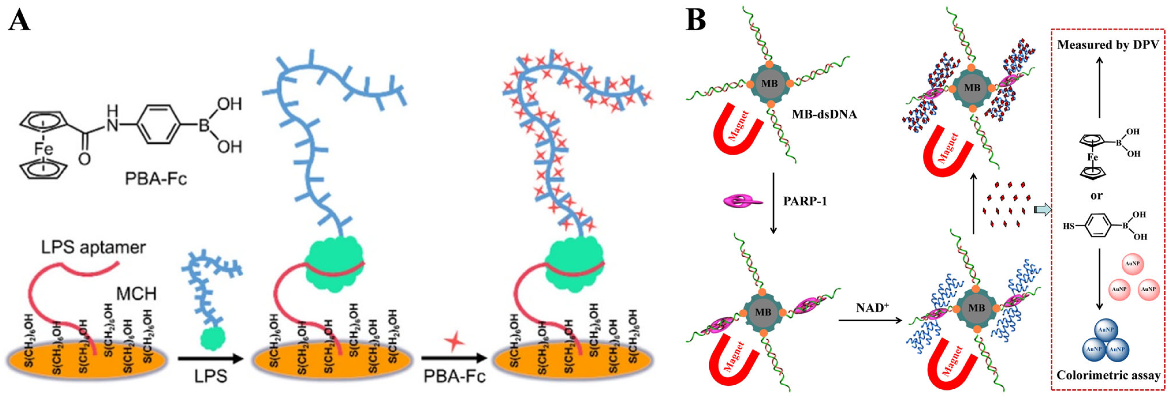 Biosensors with Boronic Acid-Based Materials as the