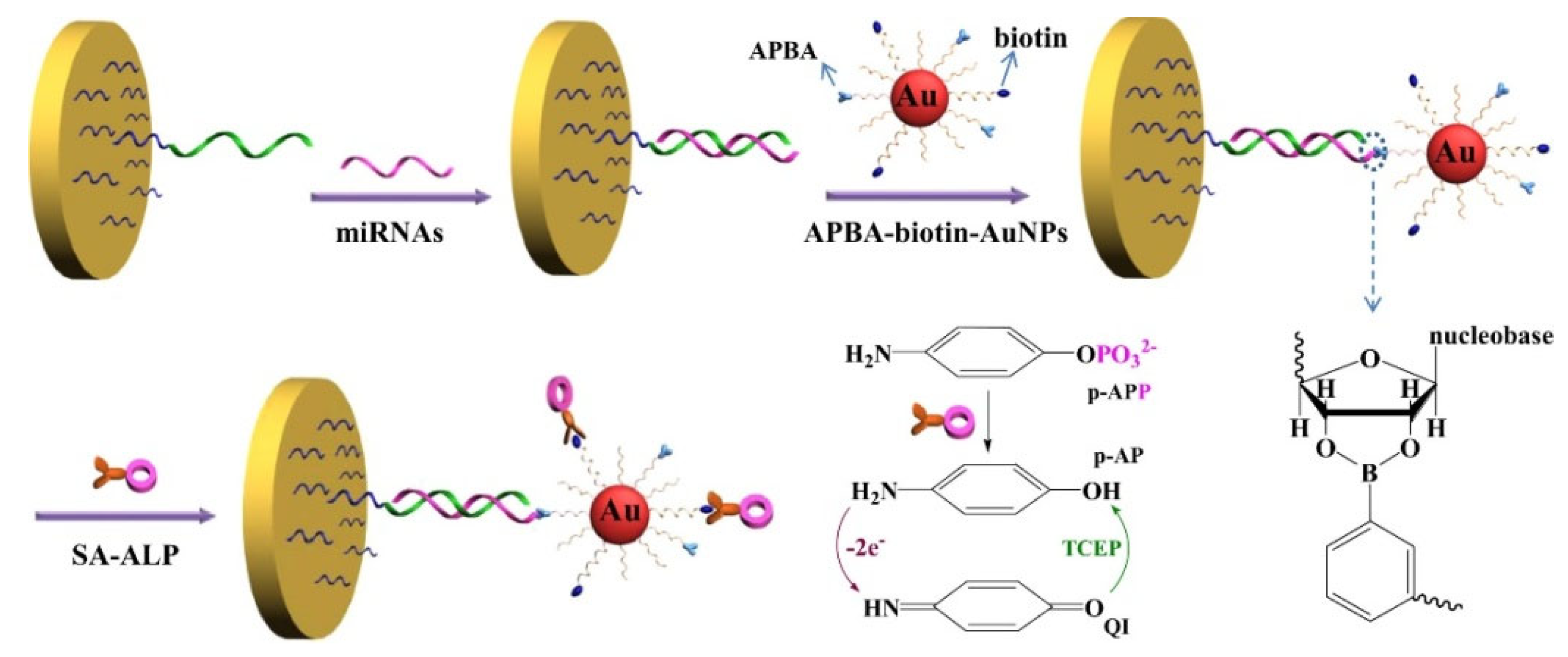 Biosensors 13 00785 g003