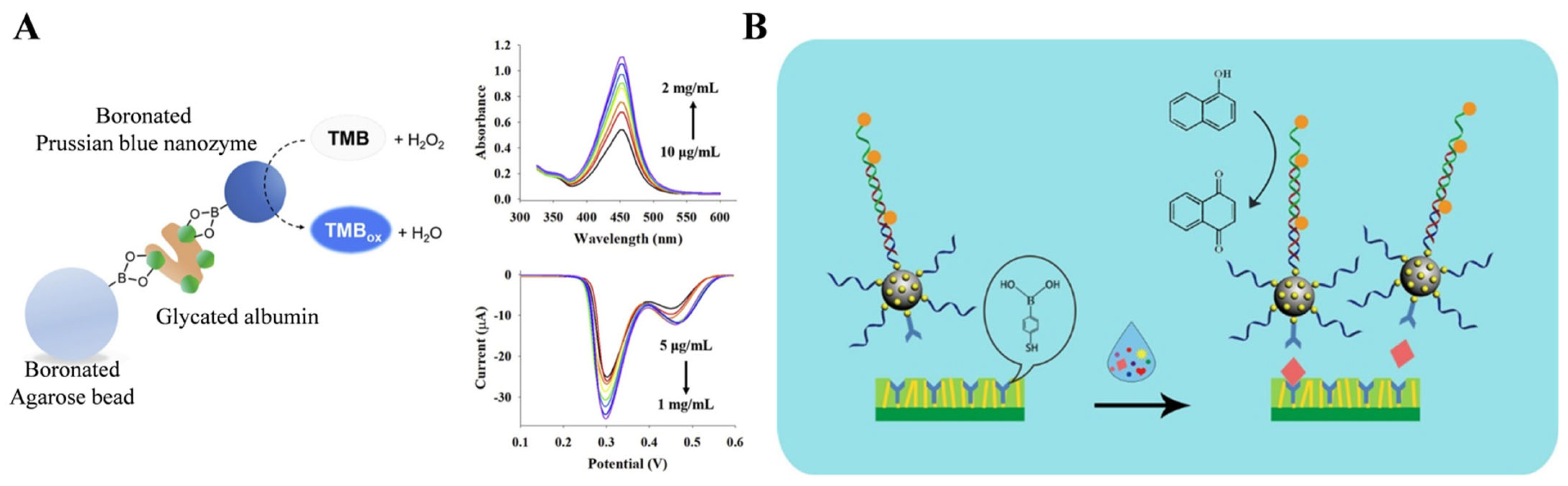 Biosensors 13 00785 g004