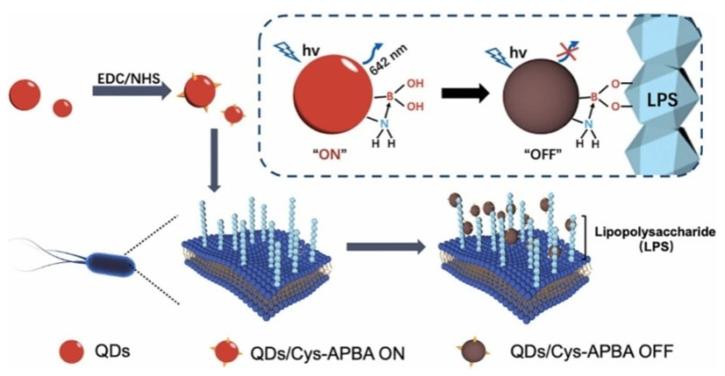 Biosensors 13 00785 g008