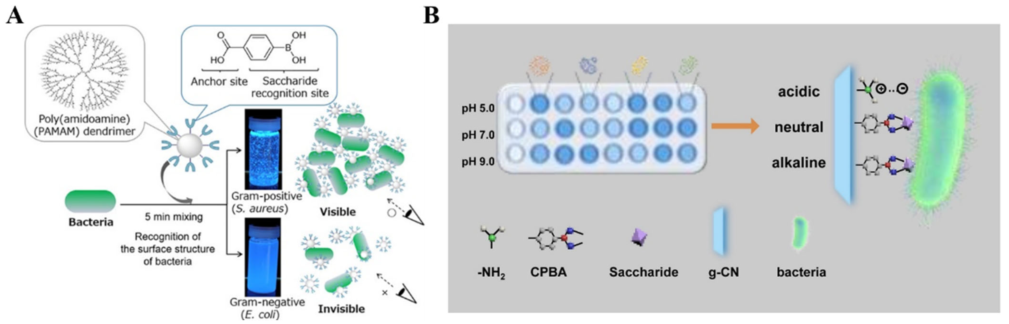 Biosensors 13 00785 g010