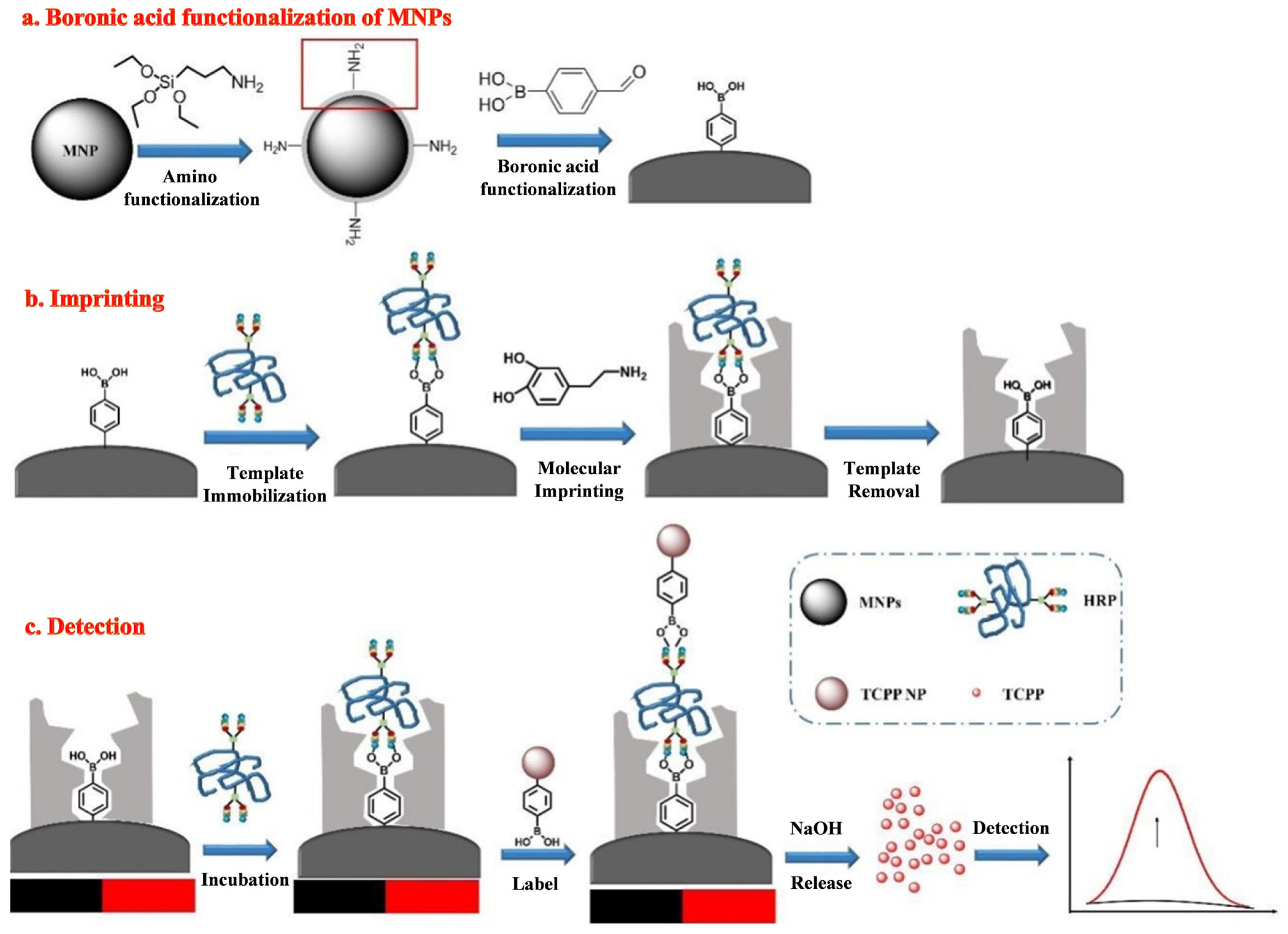 Biosensors | Free Full-Text | Biosensors with Boronic Acid-Based 