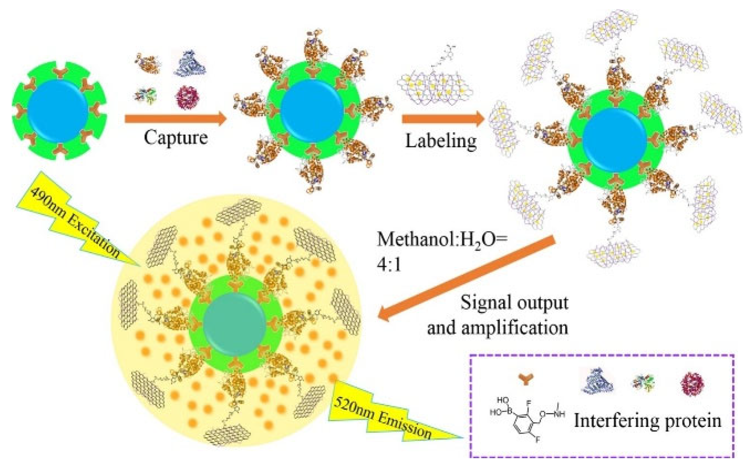 Biosensors 13 00785 g012