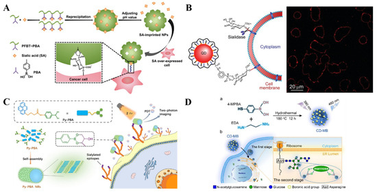Biosensors with Boronic Acid-Based Materials as the